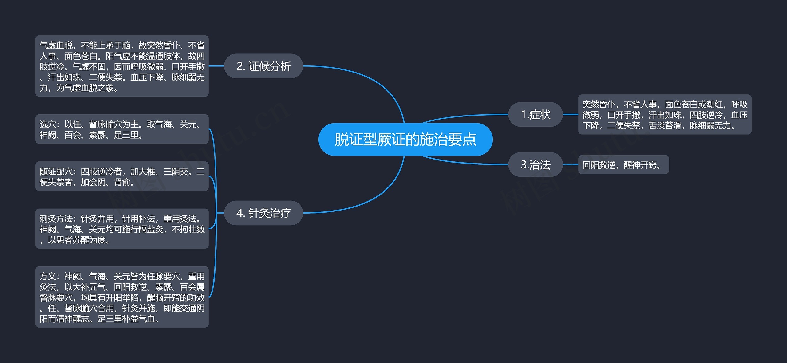 脱证型厥证的施治要点思维导图