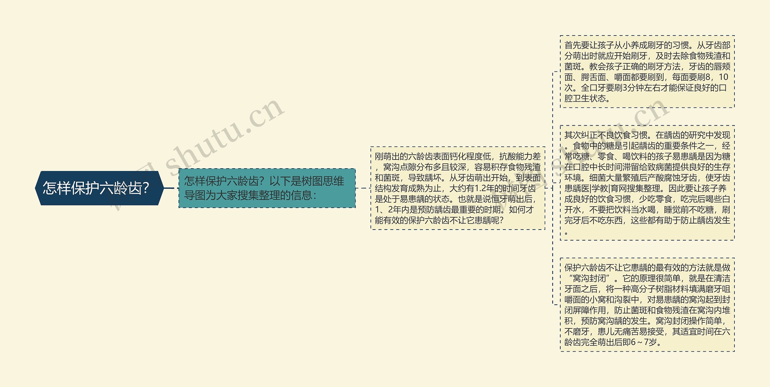 怎样保护六龄齿？思维导图