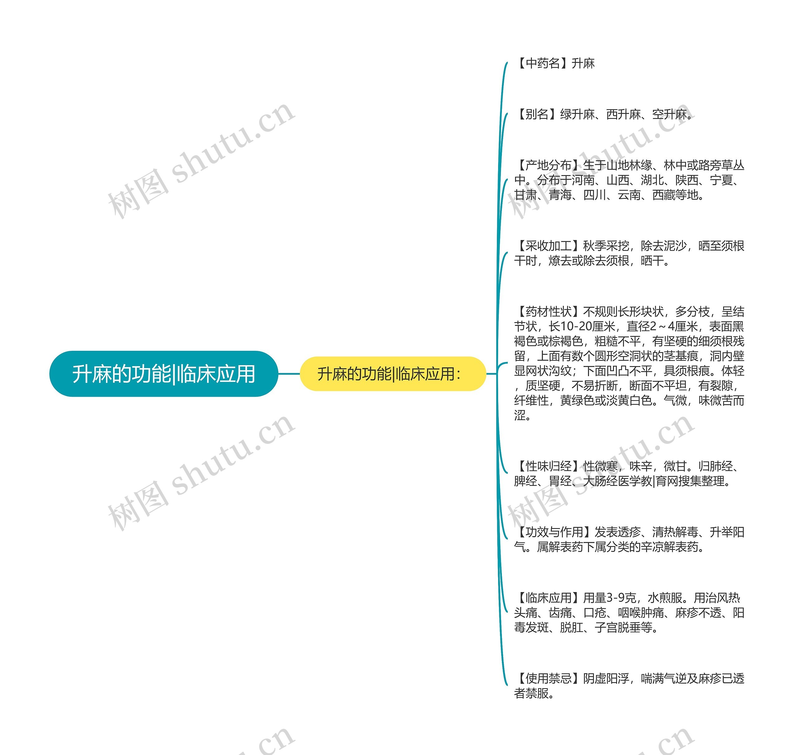 升麻的功能|临床应用思维导图