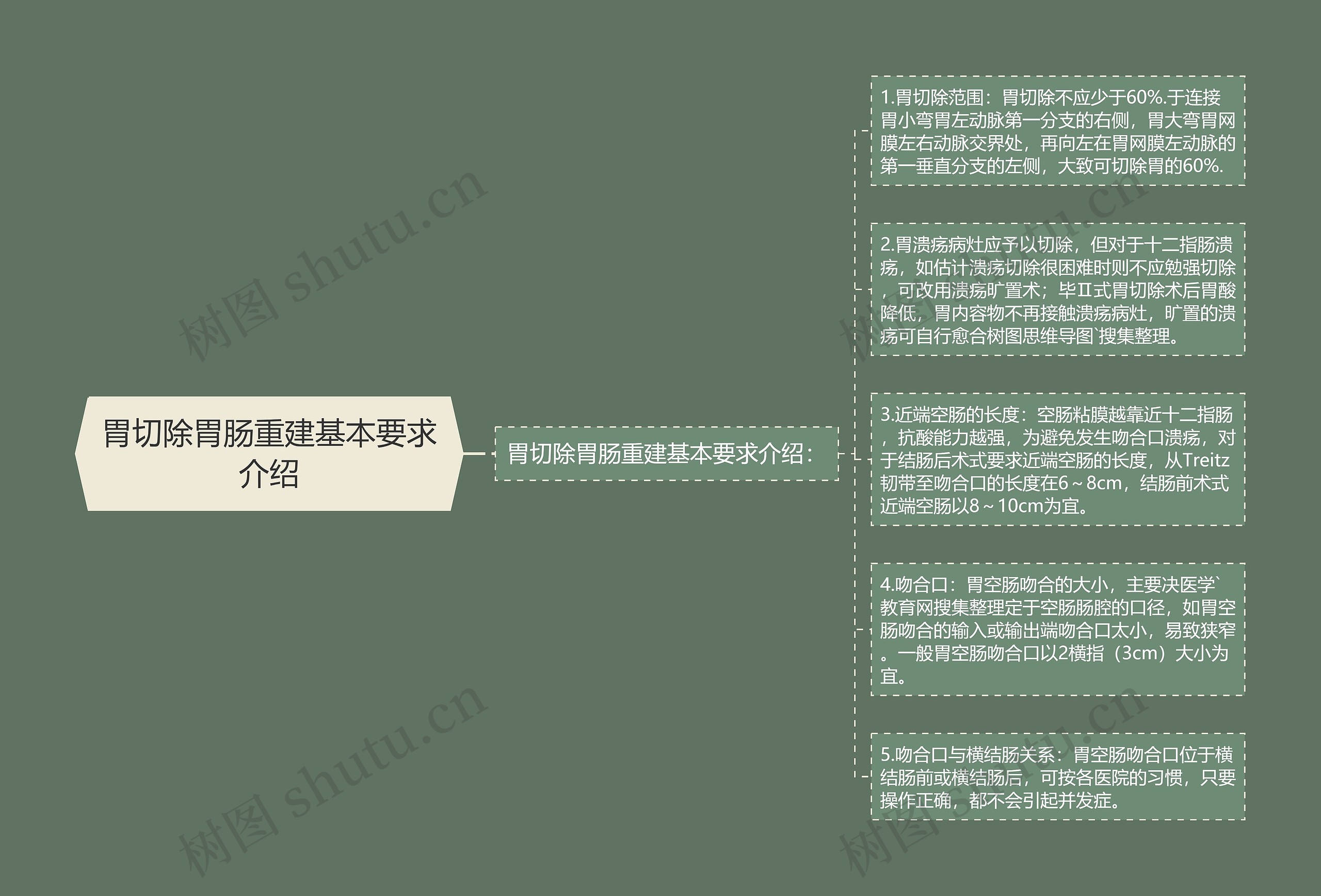 胃切除胃肠重建基本要求介绍 胃切除胃肠重建基本要求介绍