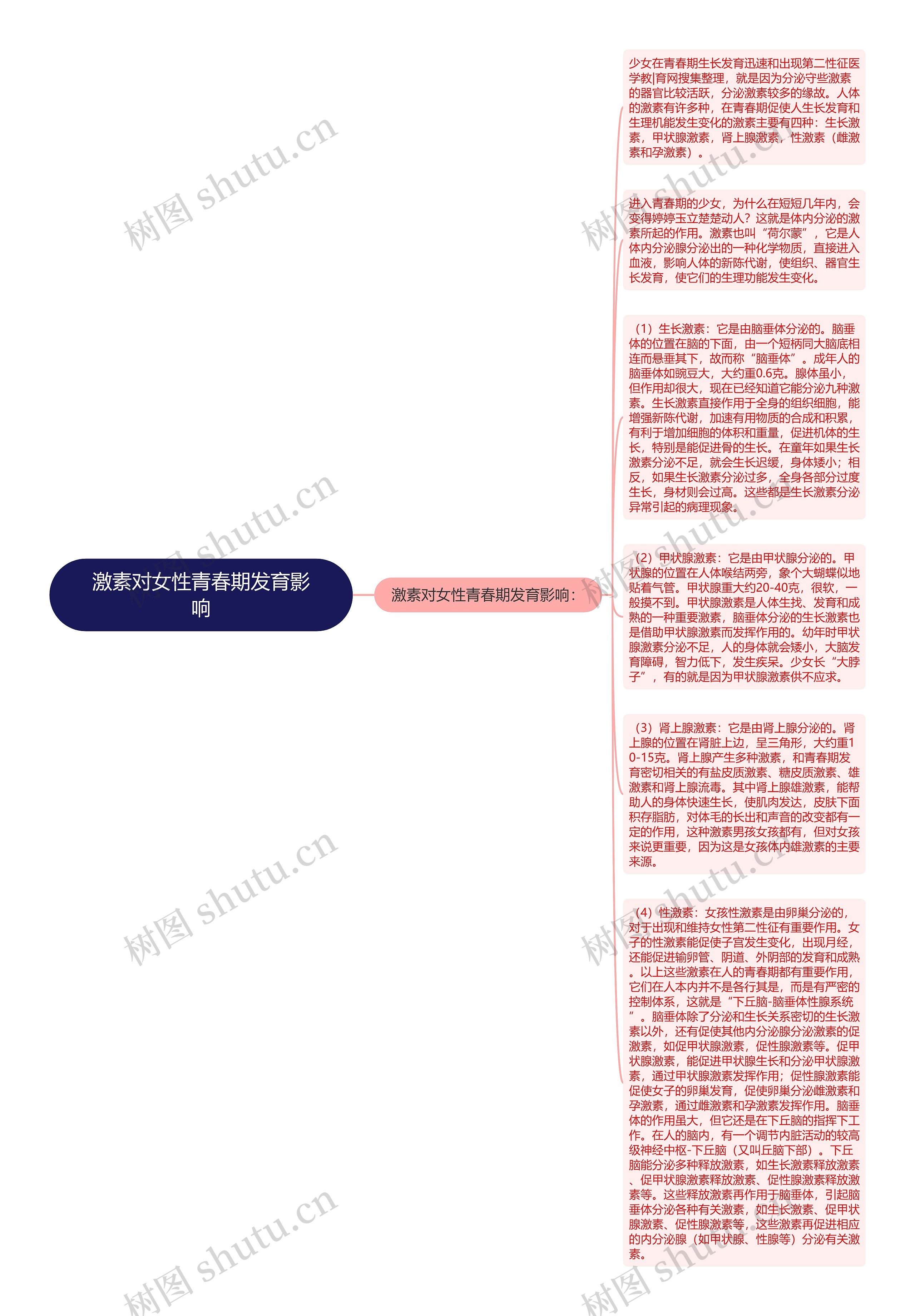 激素对女性青春期发育影响