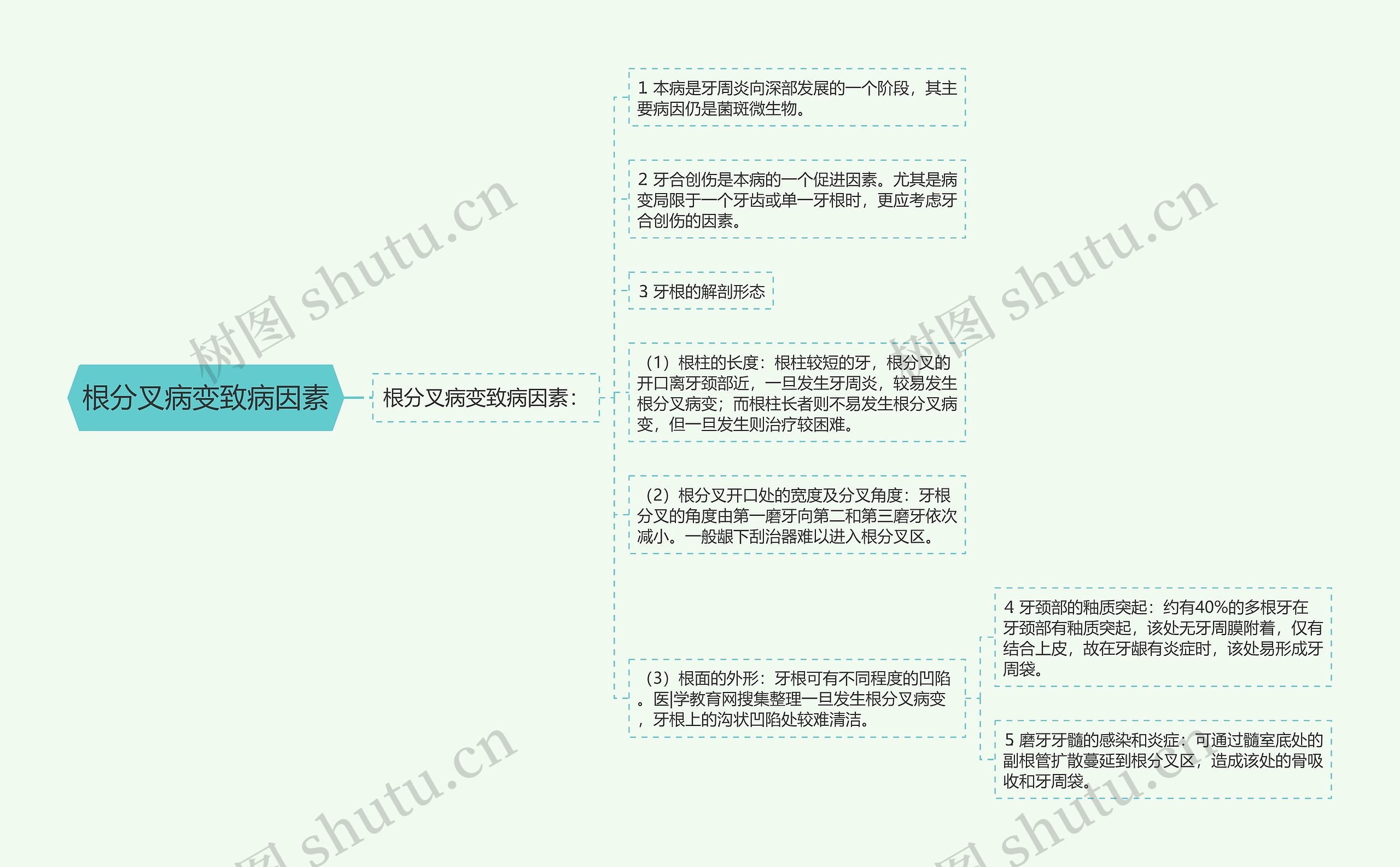 根分叉病变致病因素