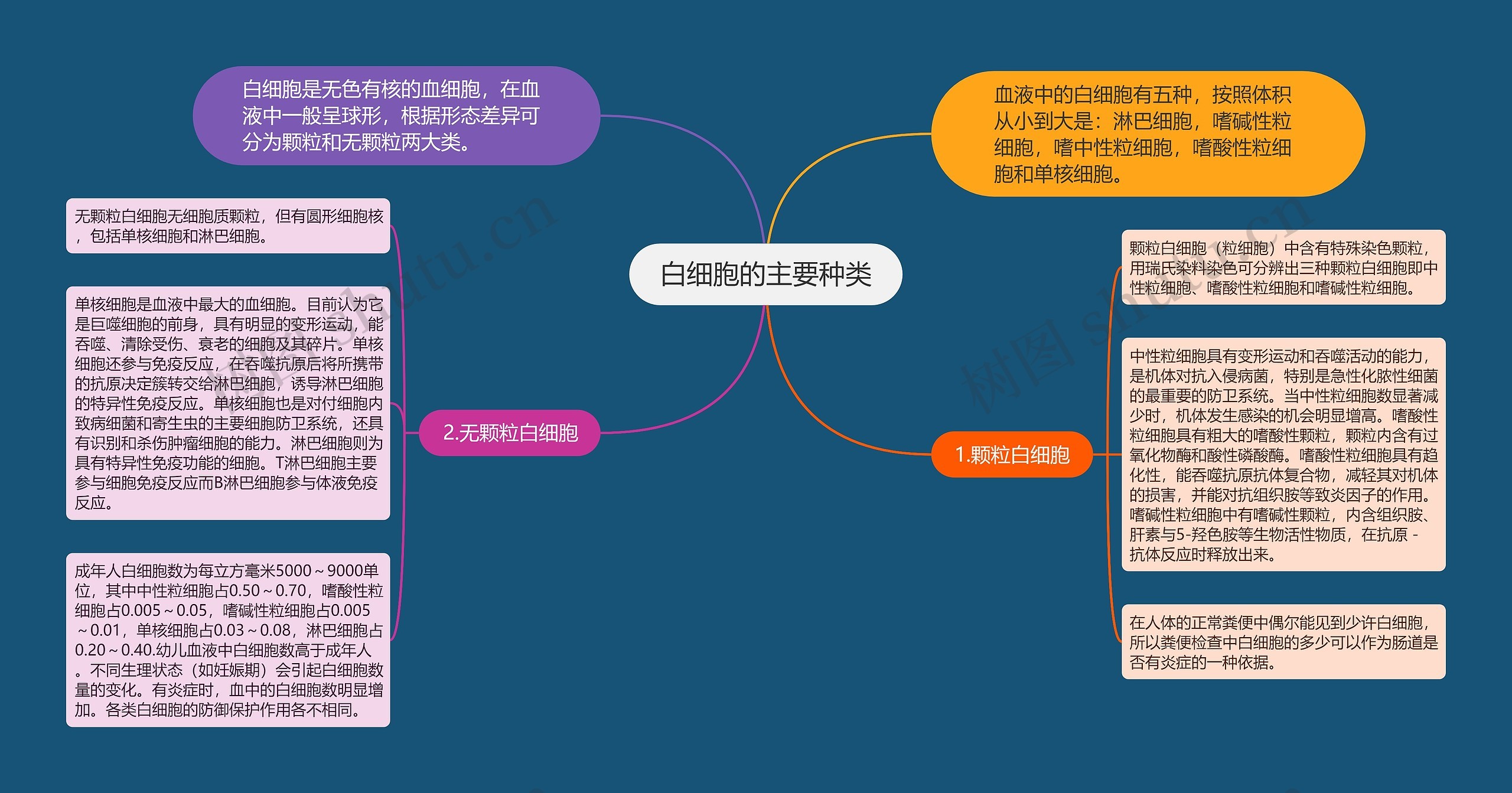 白细胞的主要种类 白细胞的主要种类
