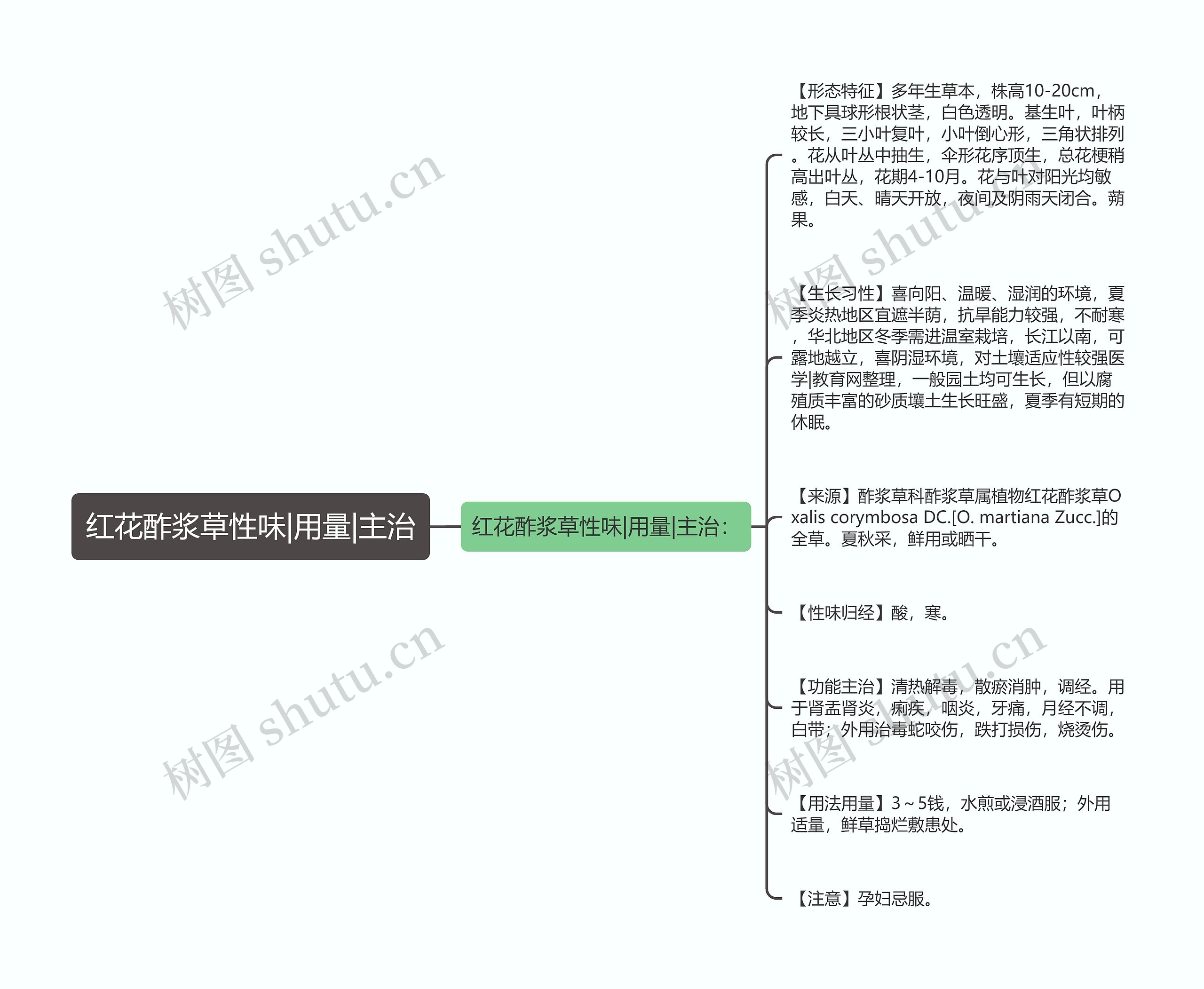 红花酢浆草性味|用量|主治思维导图