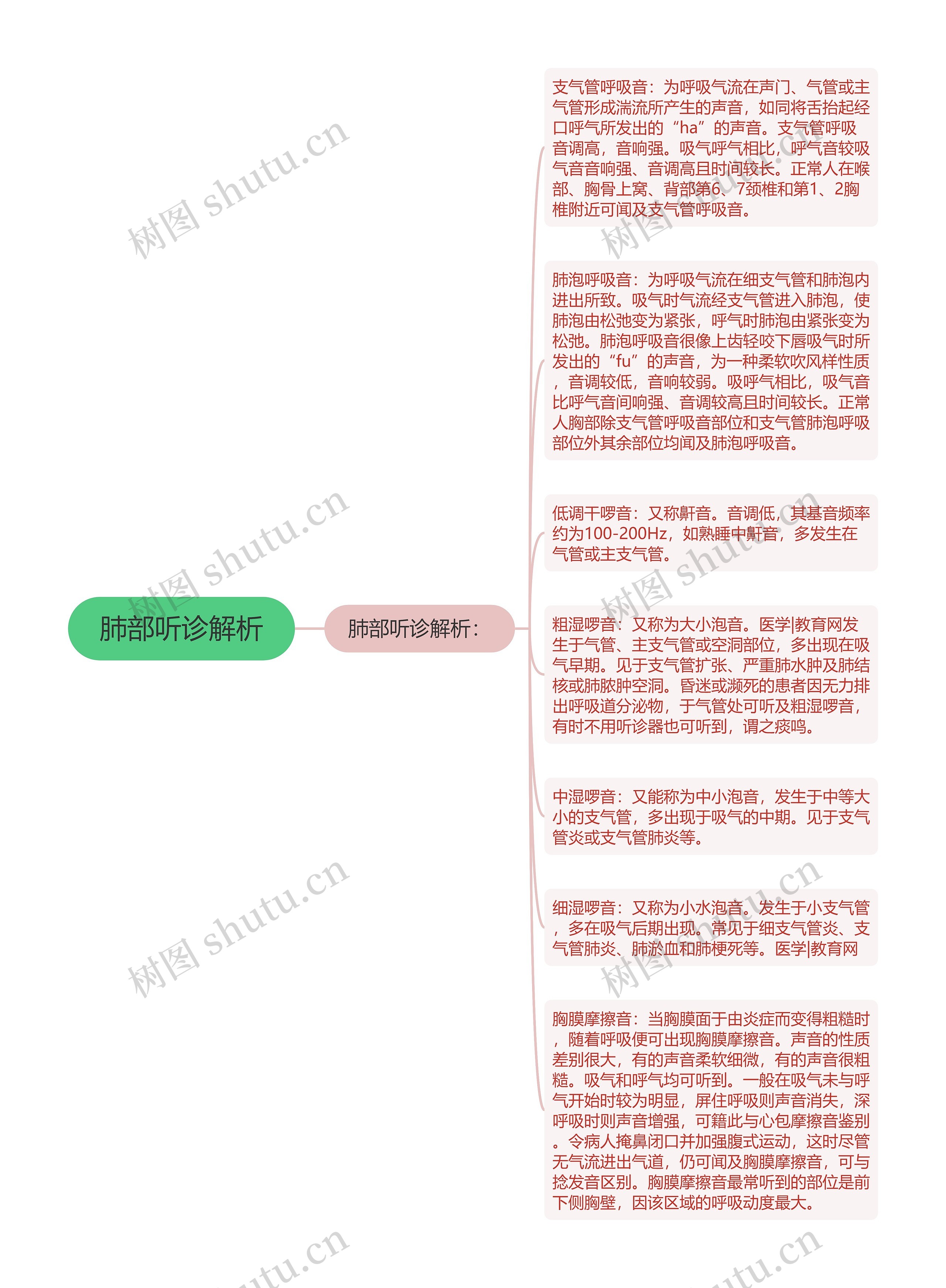 肺部听诊解析