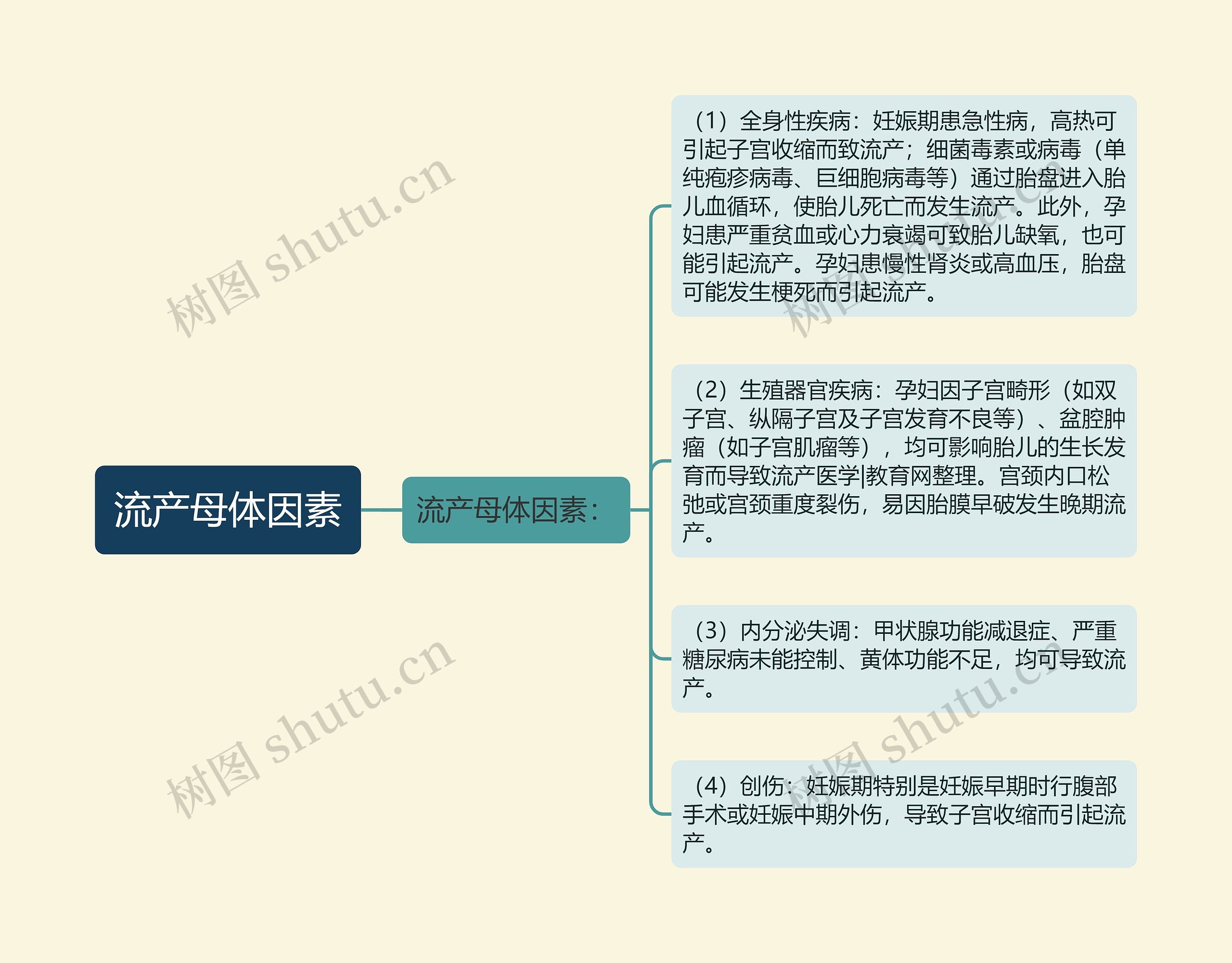 流产母体因素思维导图