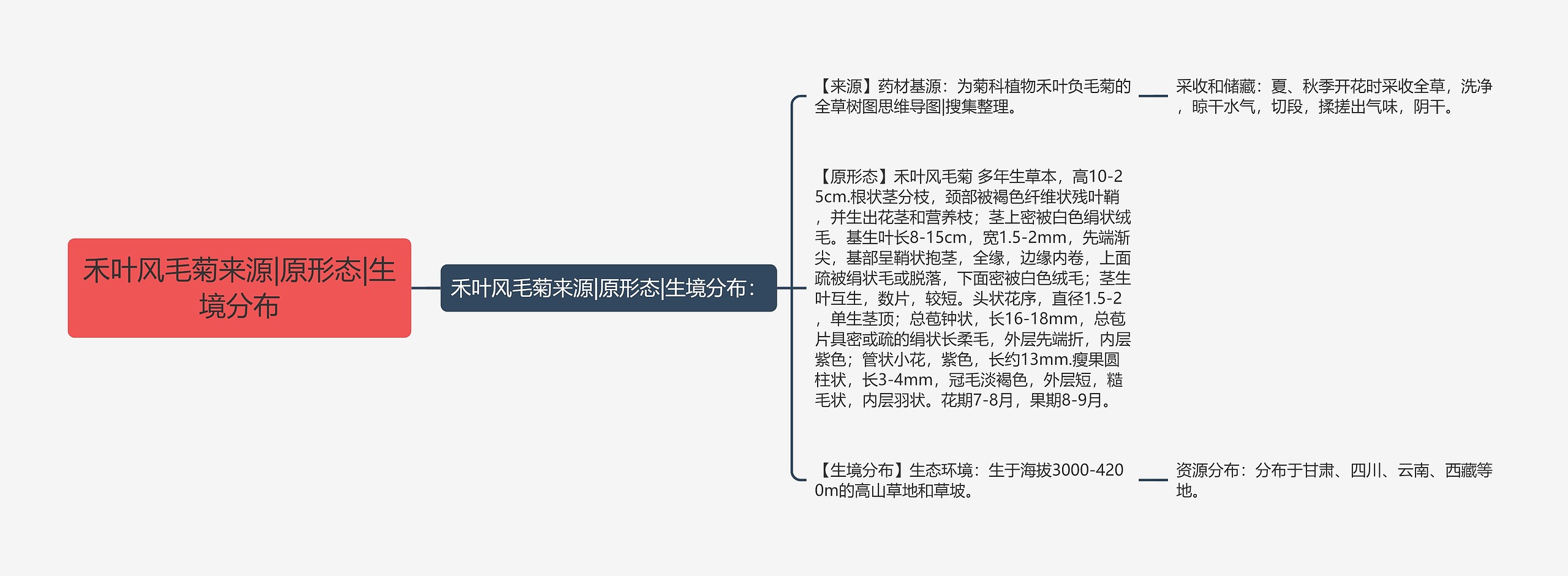 禾叶风毛菊来源|原形态|生境分布思维导图