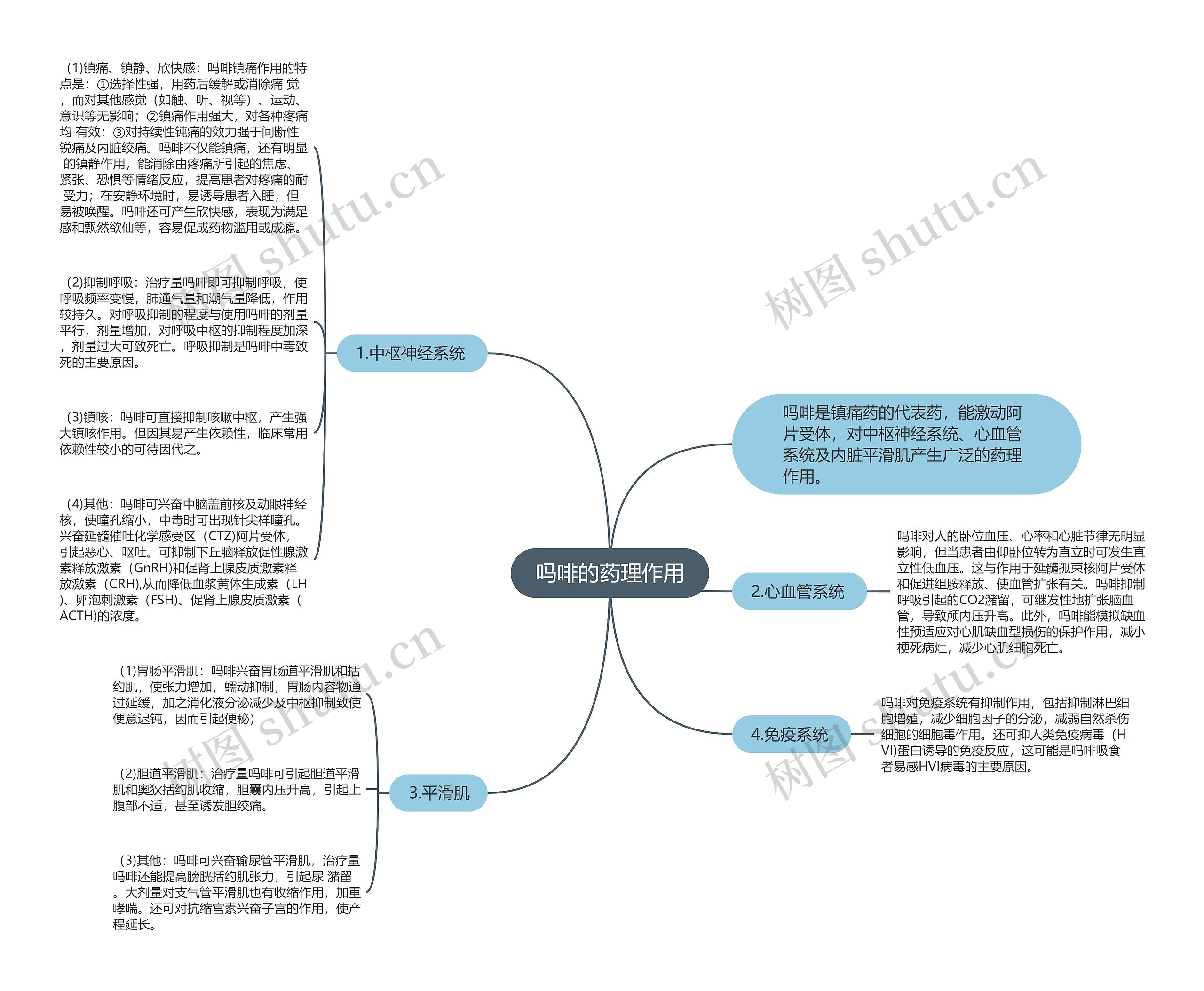 吗啡的药理作用思维导图