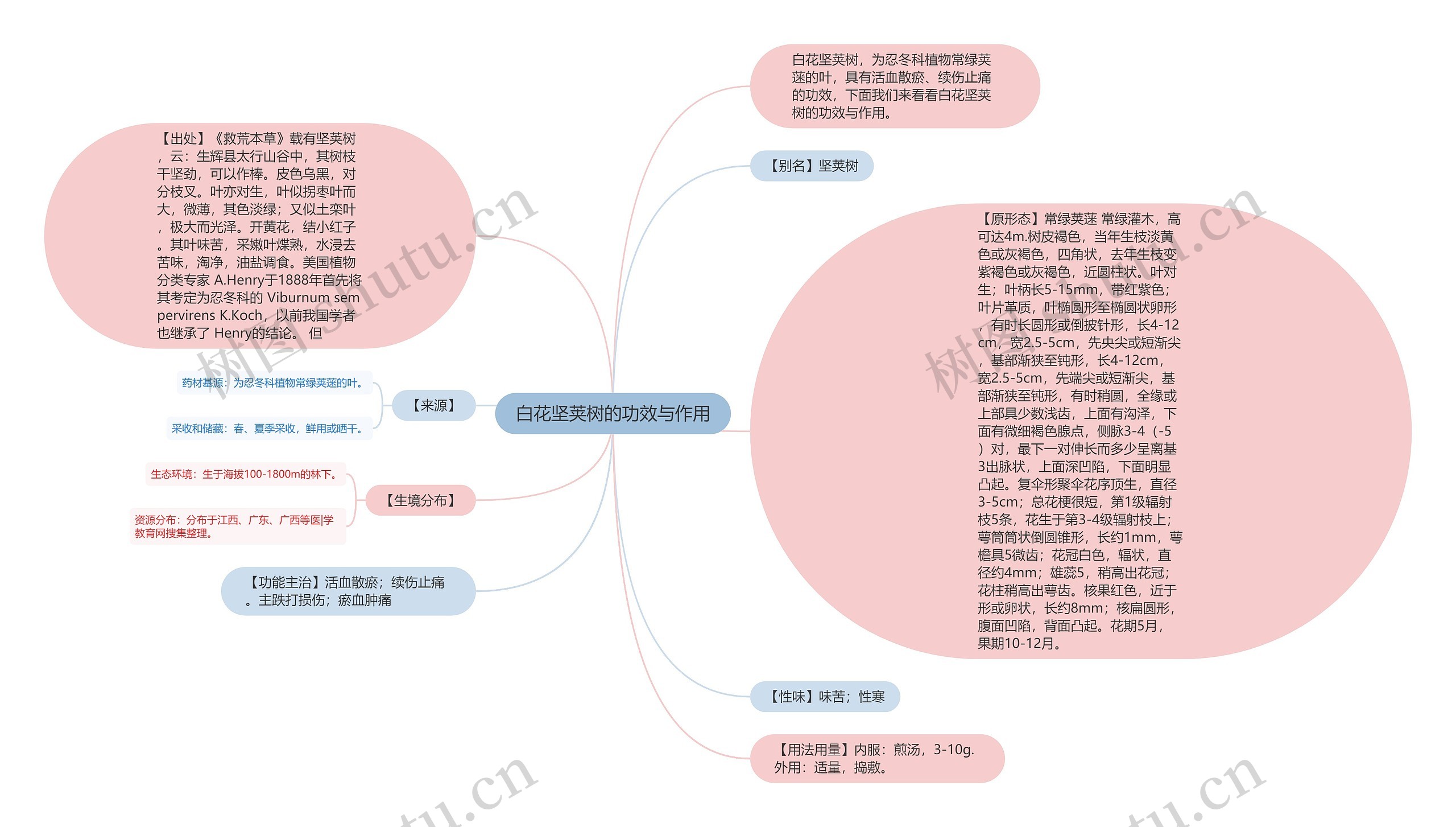 白花坚荚树的功效与作用思维导图