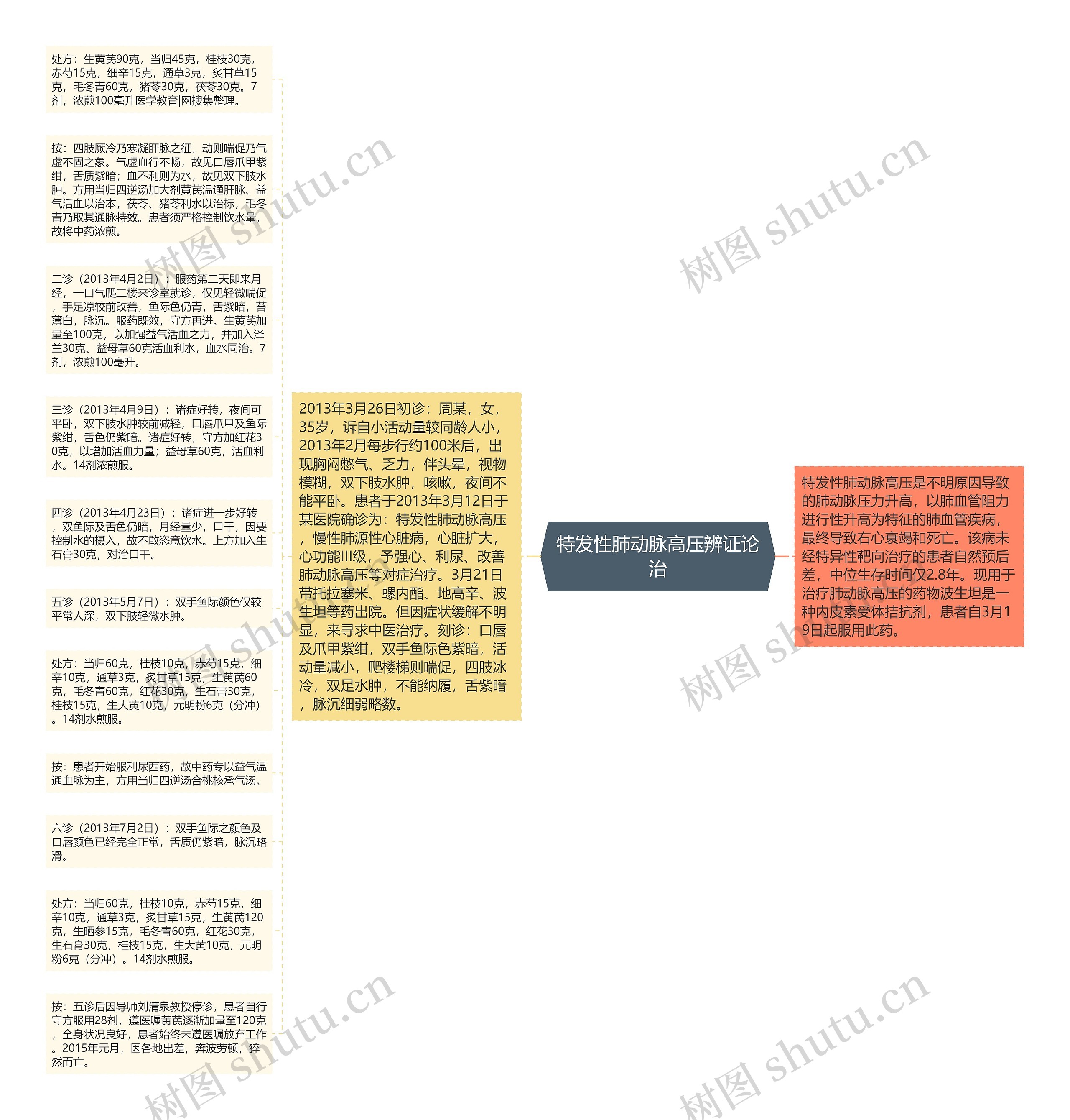 特发性肺动脉高压辨证论治思维导图