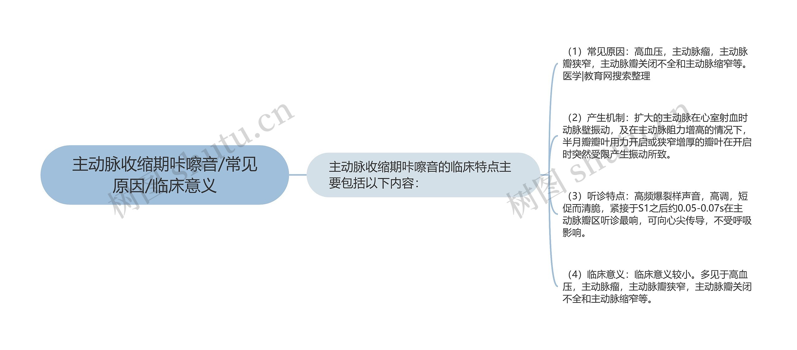 主动脉收缩期咔嚓音/常见原因/临床意义思维导图