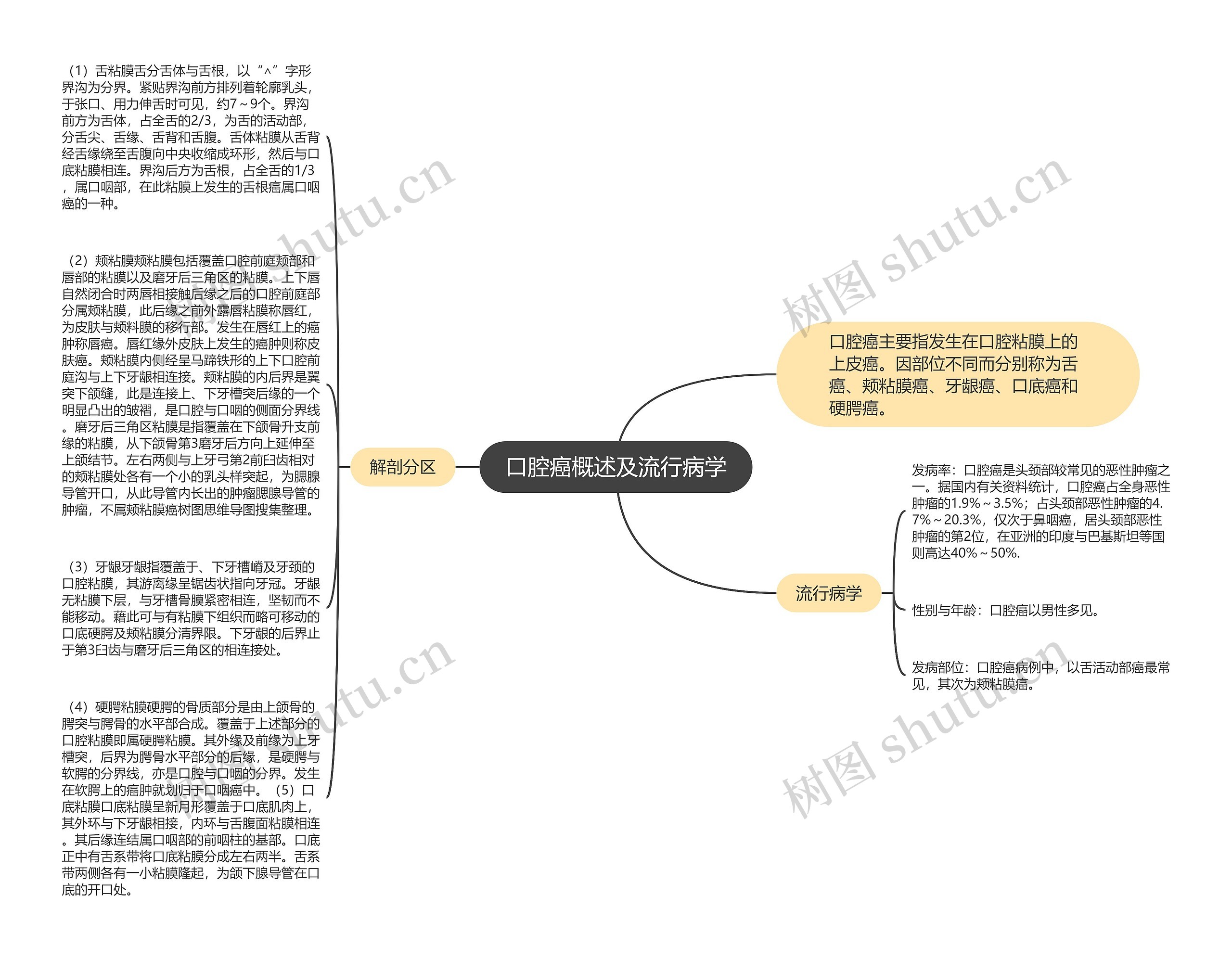 口腔癌概述及流行病学思维导图