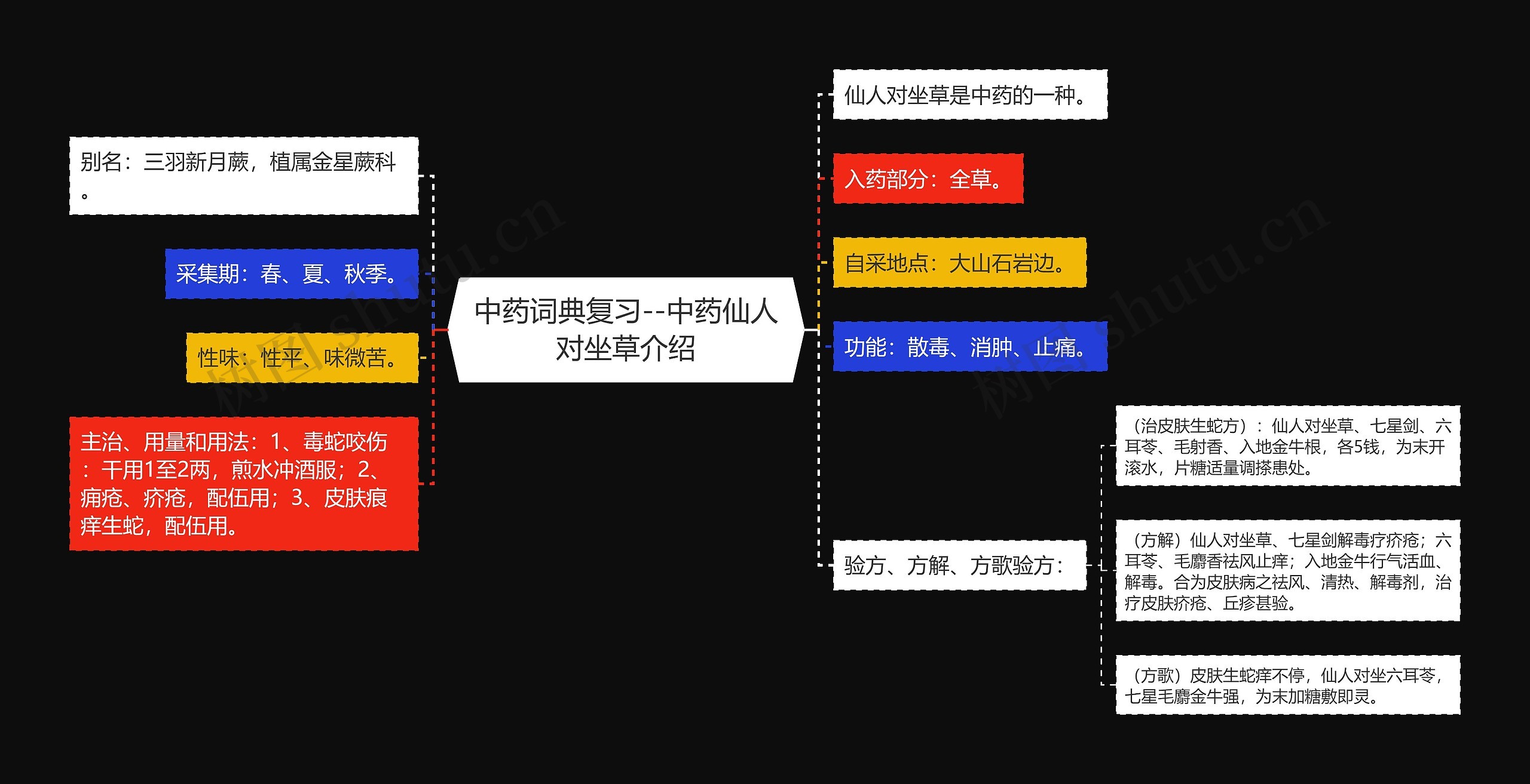 中药词典复习--中药仙人对坐草介绍 中药词典复习--中药仙人对坐草介绍