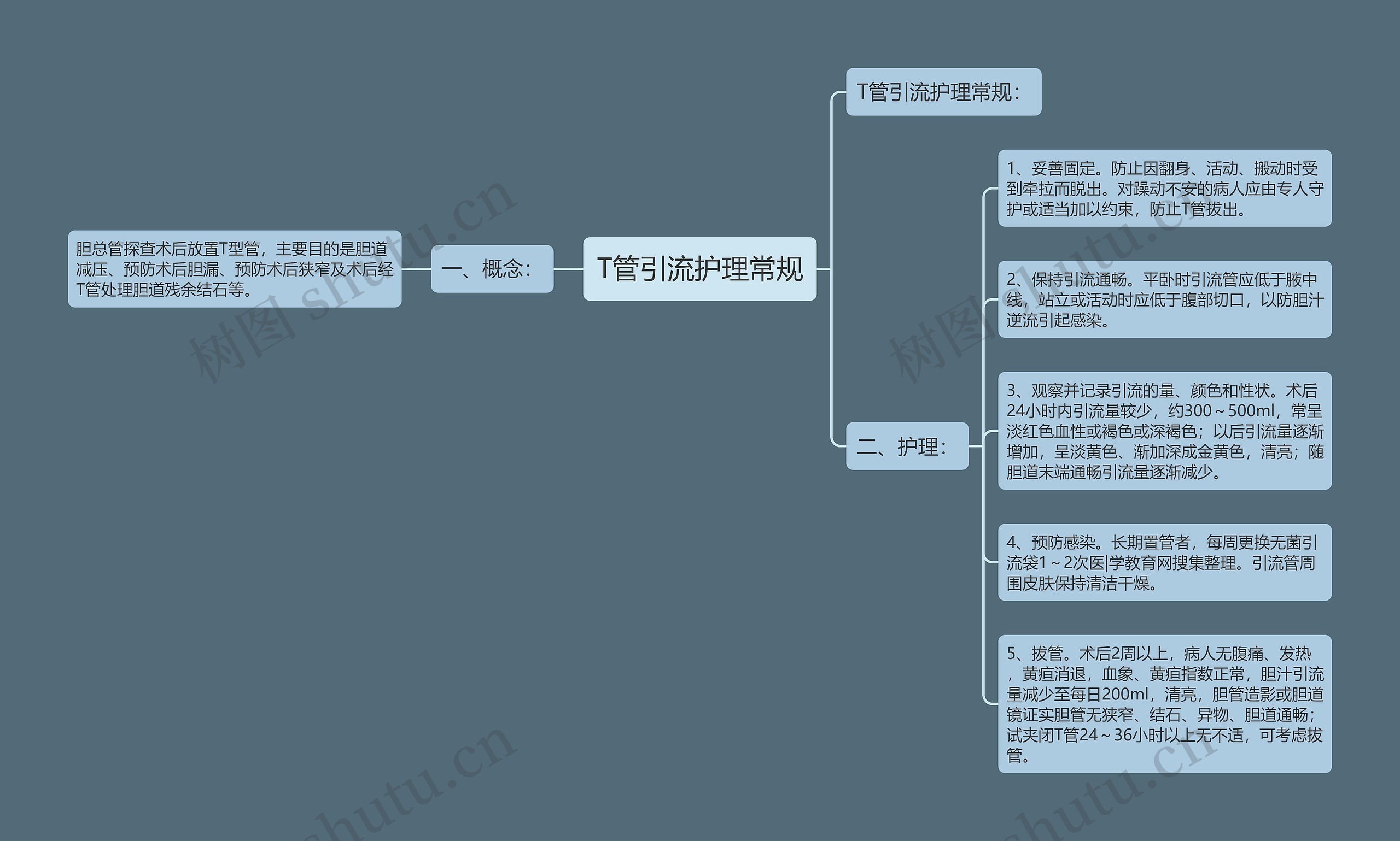 T管引流护理常规