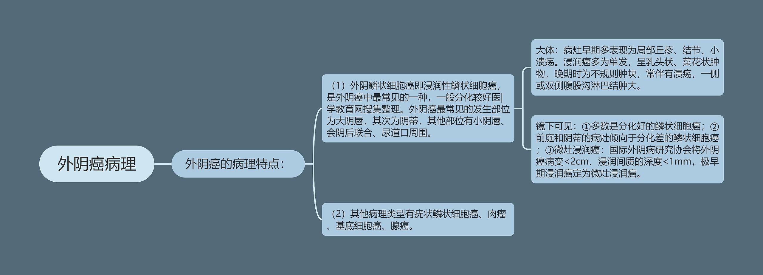 外阴癌病理