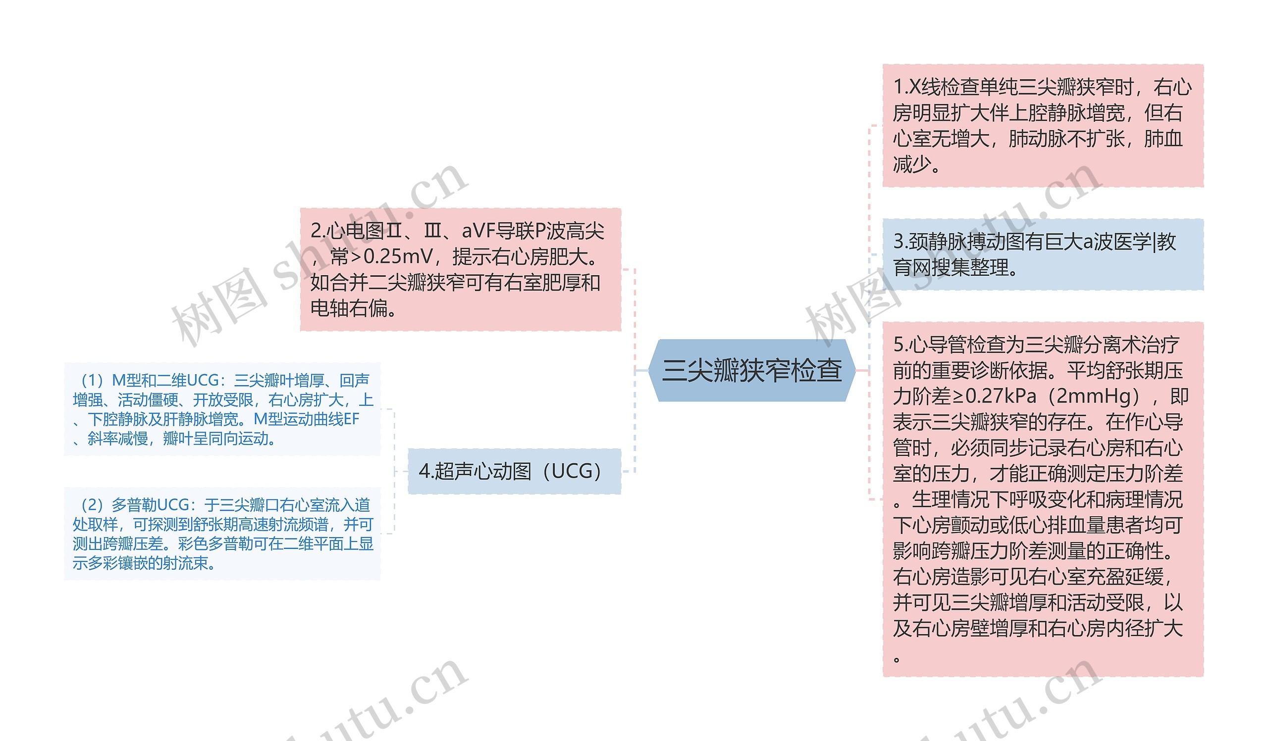 三尖瓣狭窄检查