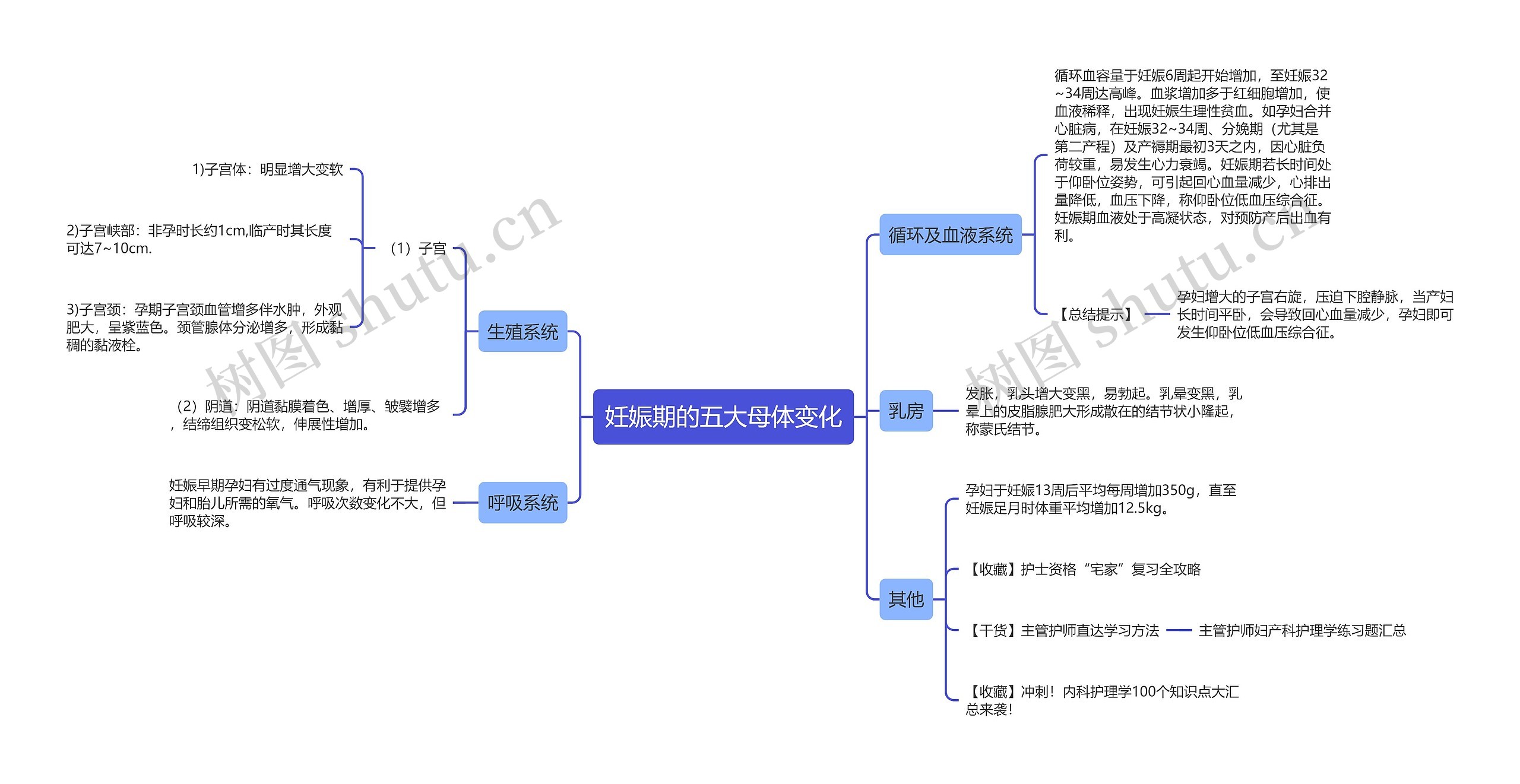 妊娠期的五大母体变化