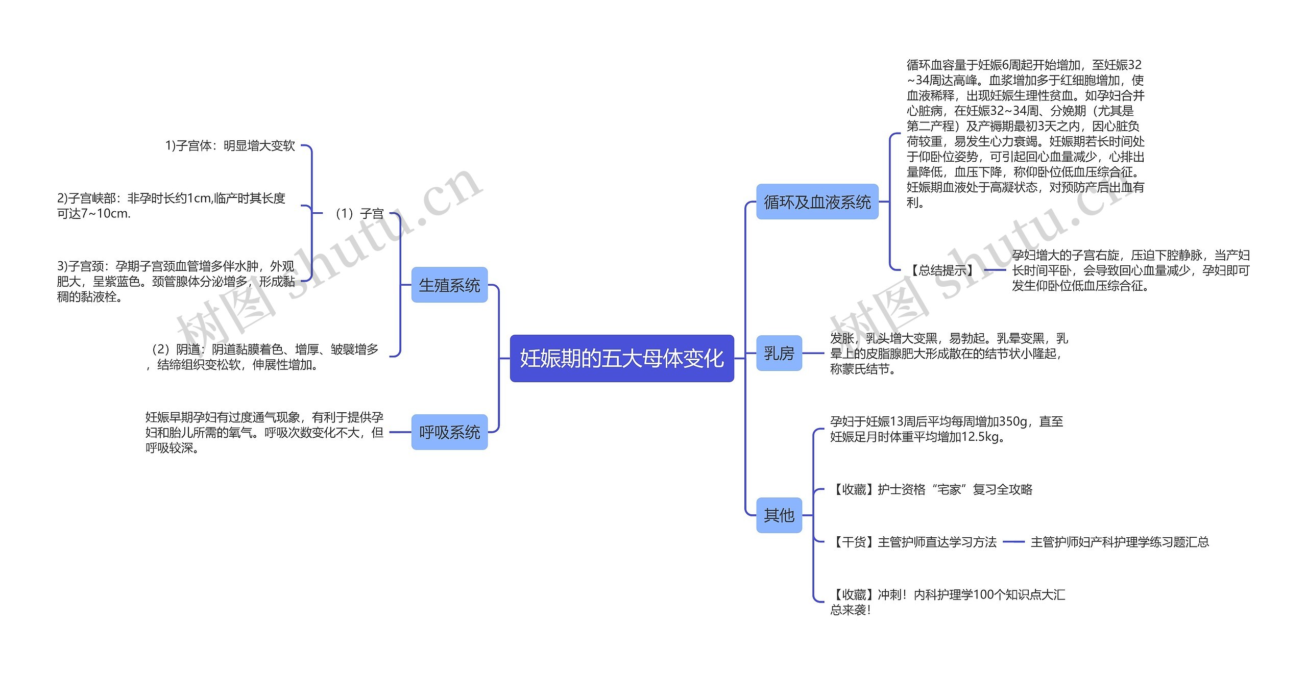 妊娠期的五大母体变化思维导图