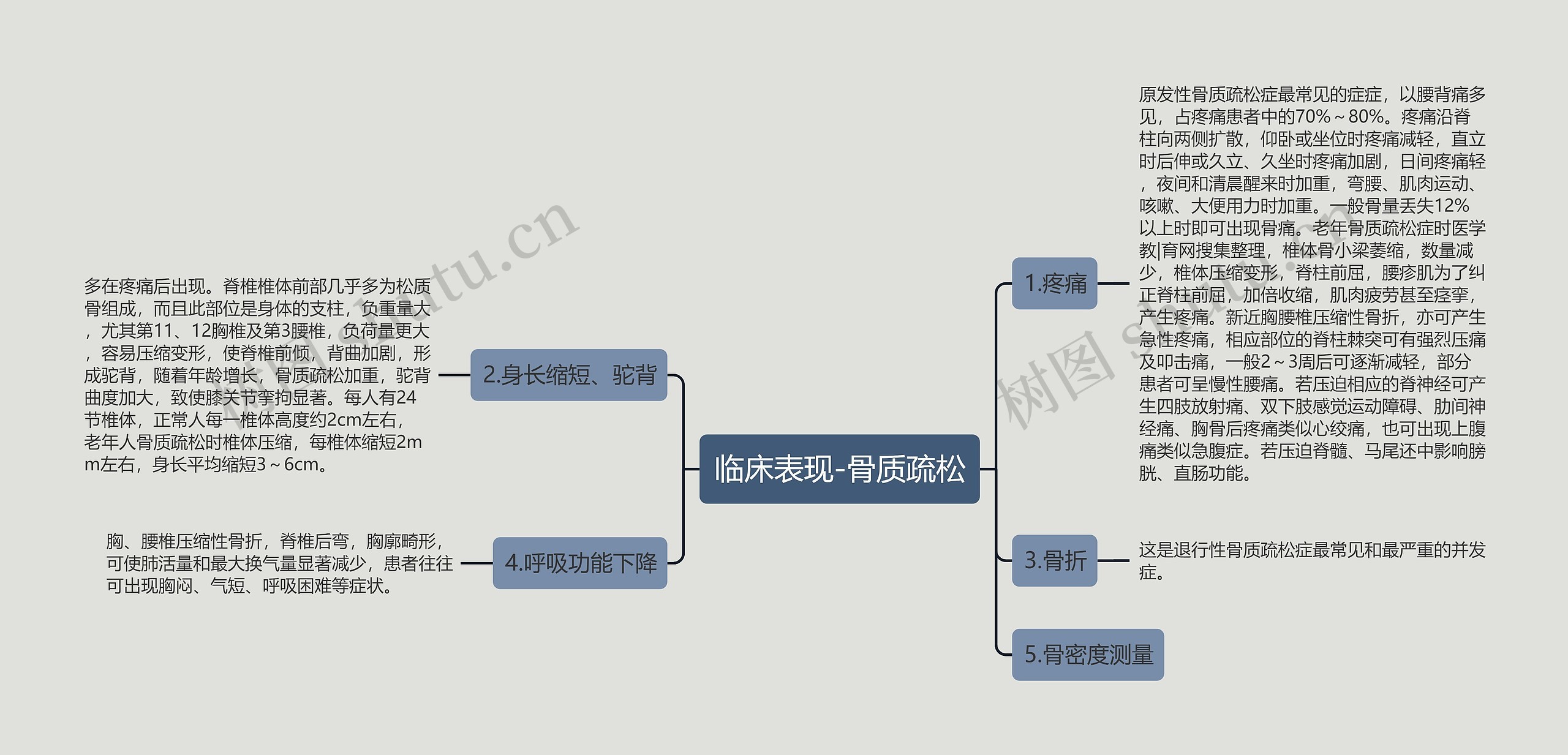 临床表现-骨质疏松 临床表现-骨质疏松
