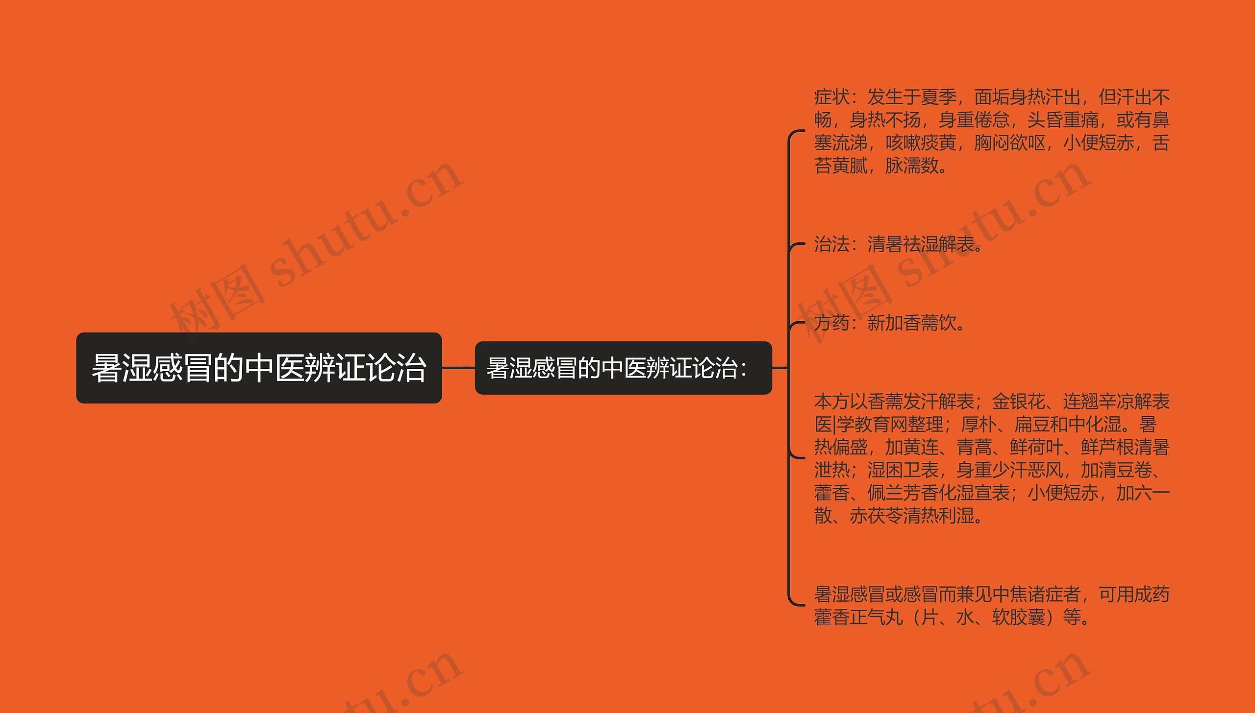 暑湿感冒的中医辨证论治思维导图