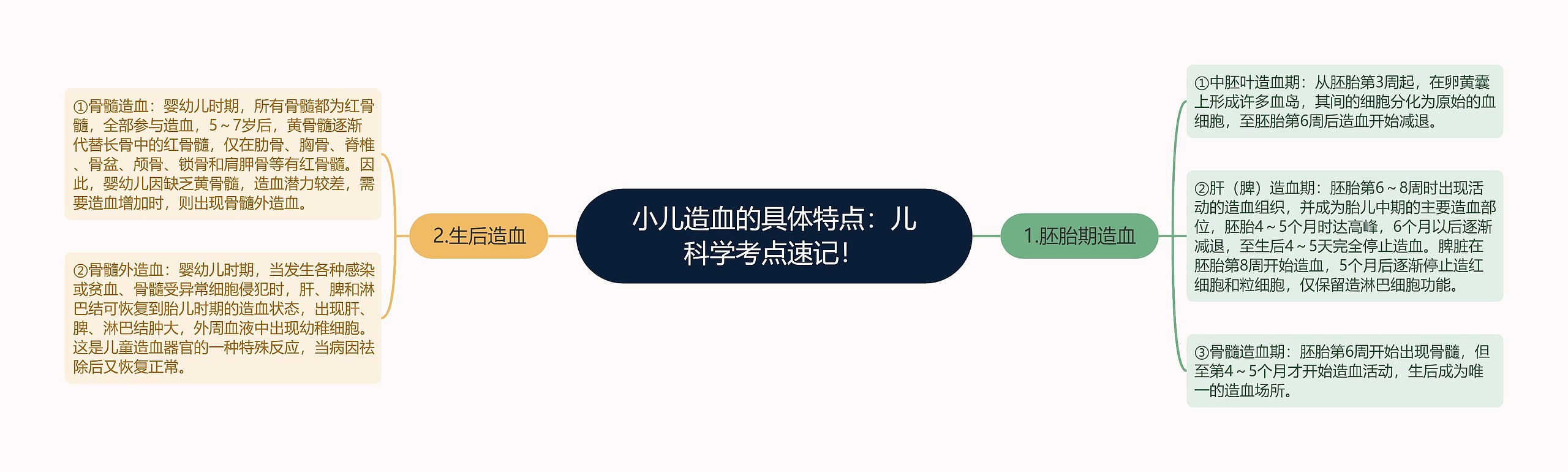 小儿造血的具体特点:儿科学考点速记! 小儿造血的具体特点:儿科学考点速记!