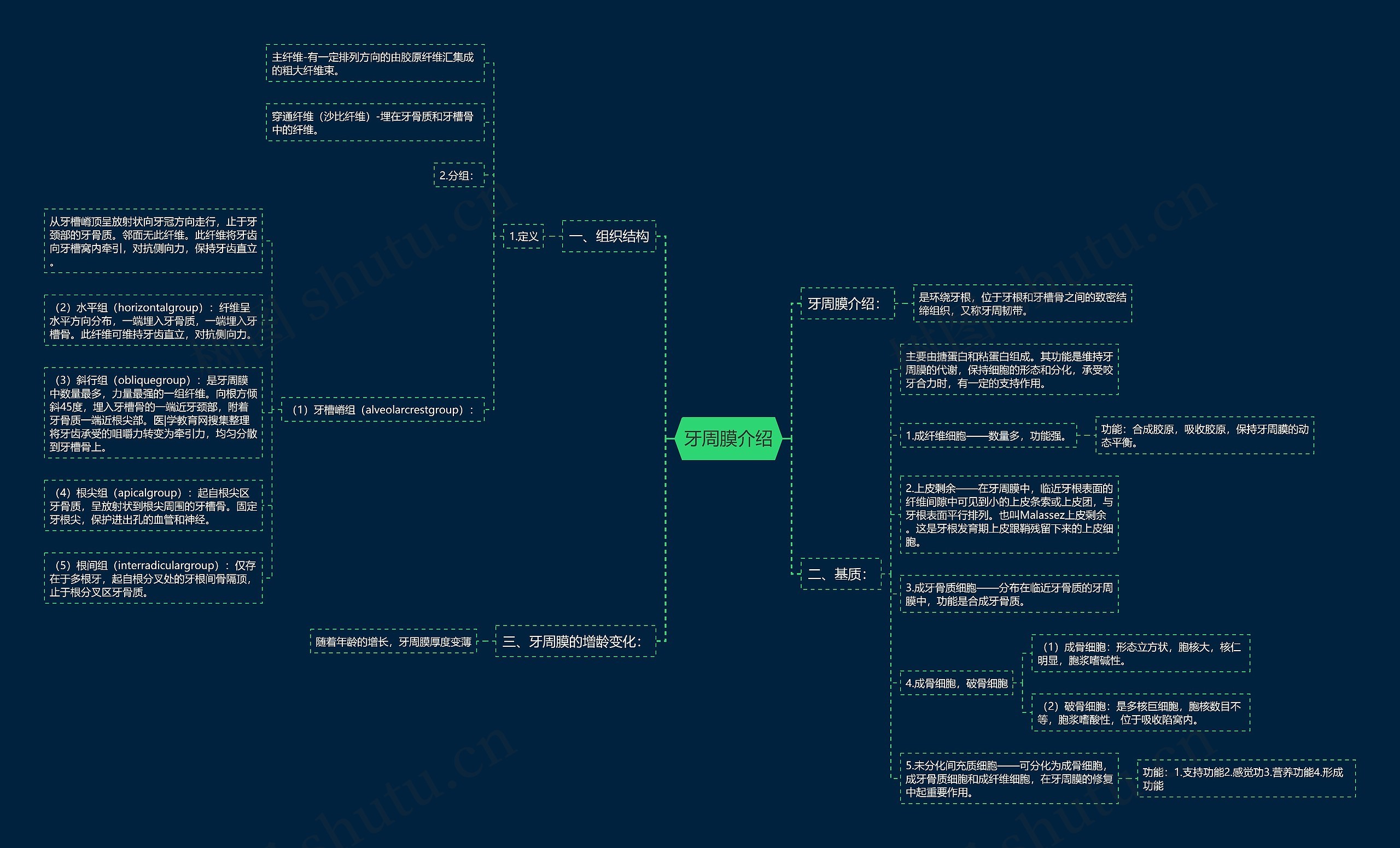 牙周膜介绍思维导图