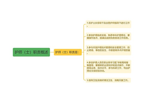 护师（士）职责概述