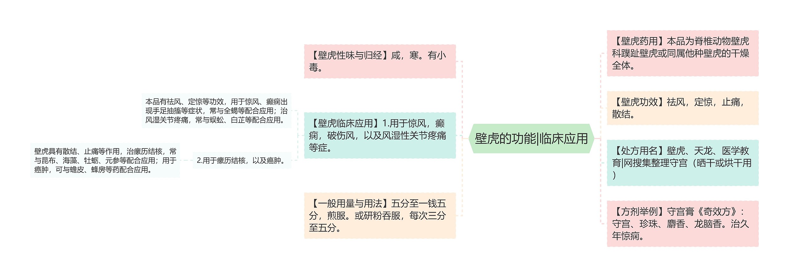 壁虎的功能|临床应用思维导图