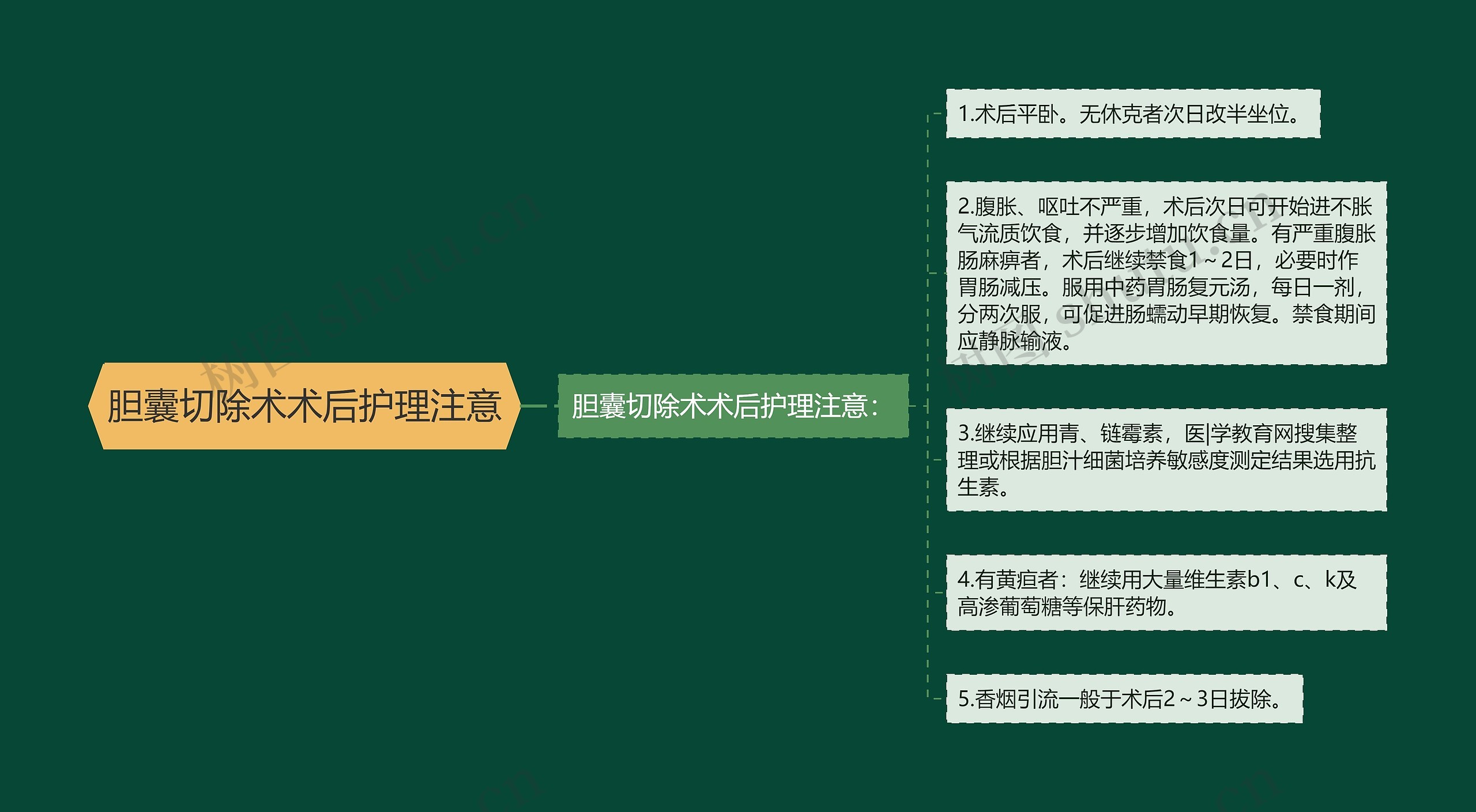 胆囊切除术术后护理注意 胆囊切除术术后护理注意