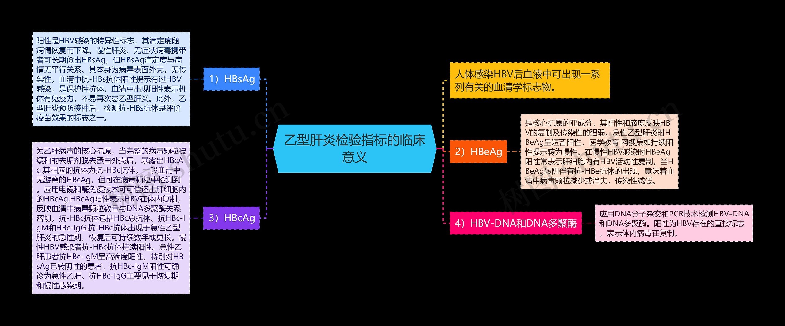 乙型肝炎检验指标的临床意义思维导图