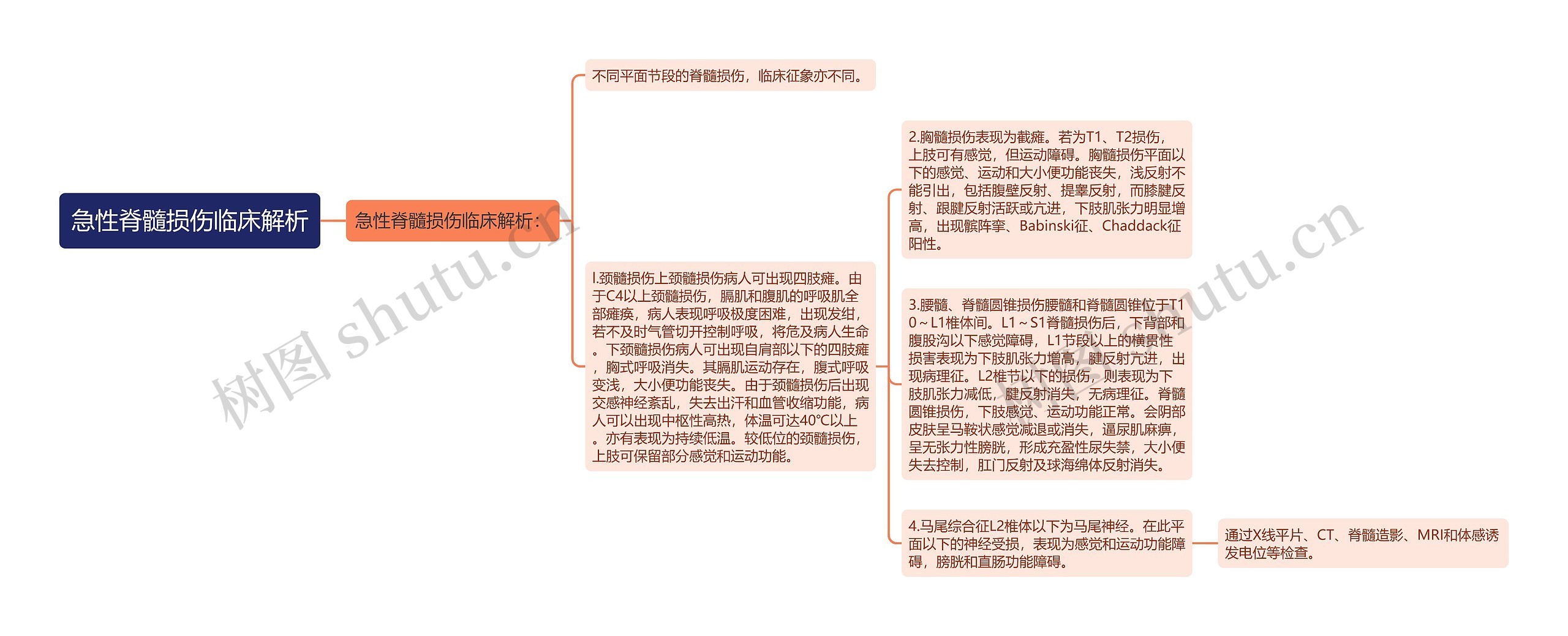 急性脊髓损伤临床解析