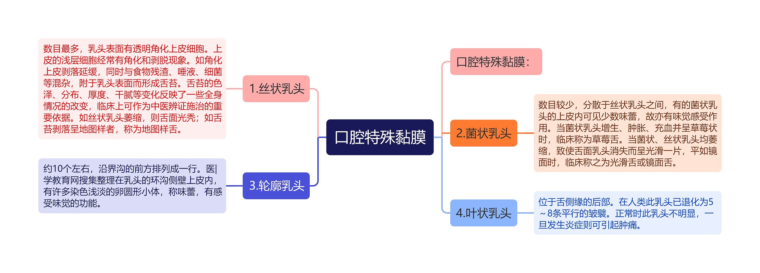 口腔特殊黏膜