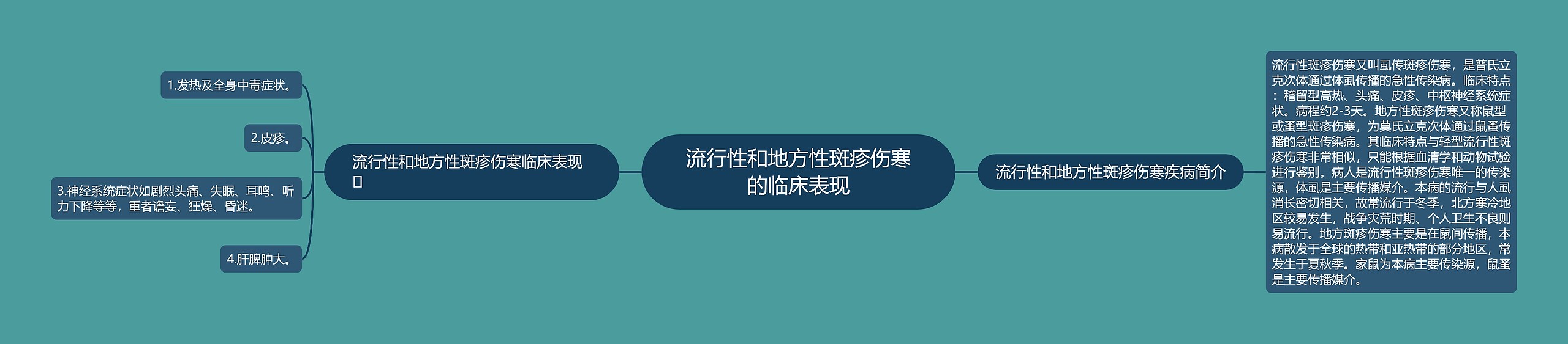 流行性和地方性斑疹伤寒的临床表现思维导图