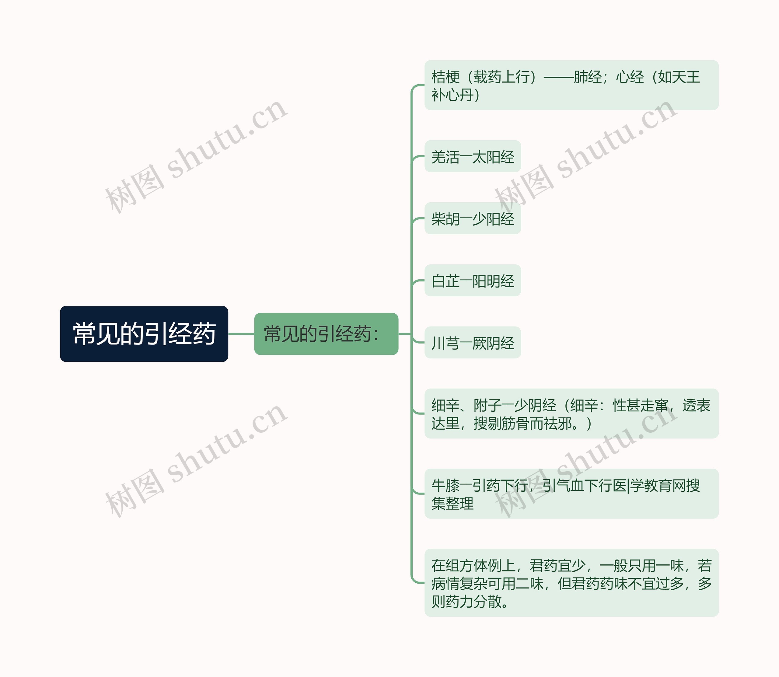 常见的引经药思维导图