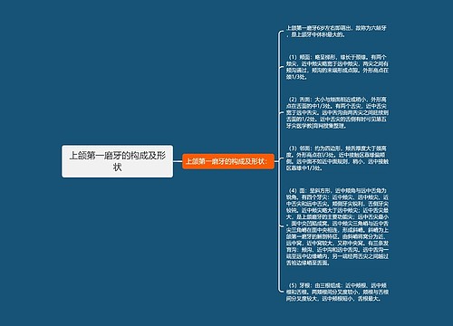 上颌第一磨牙的构成及形状