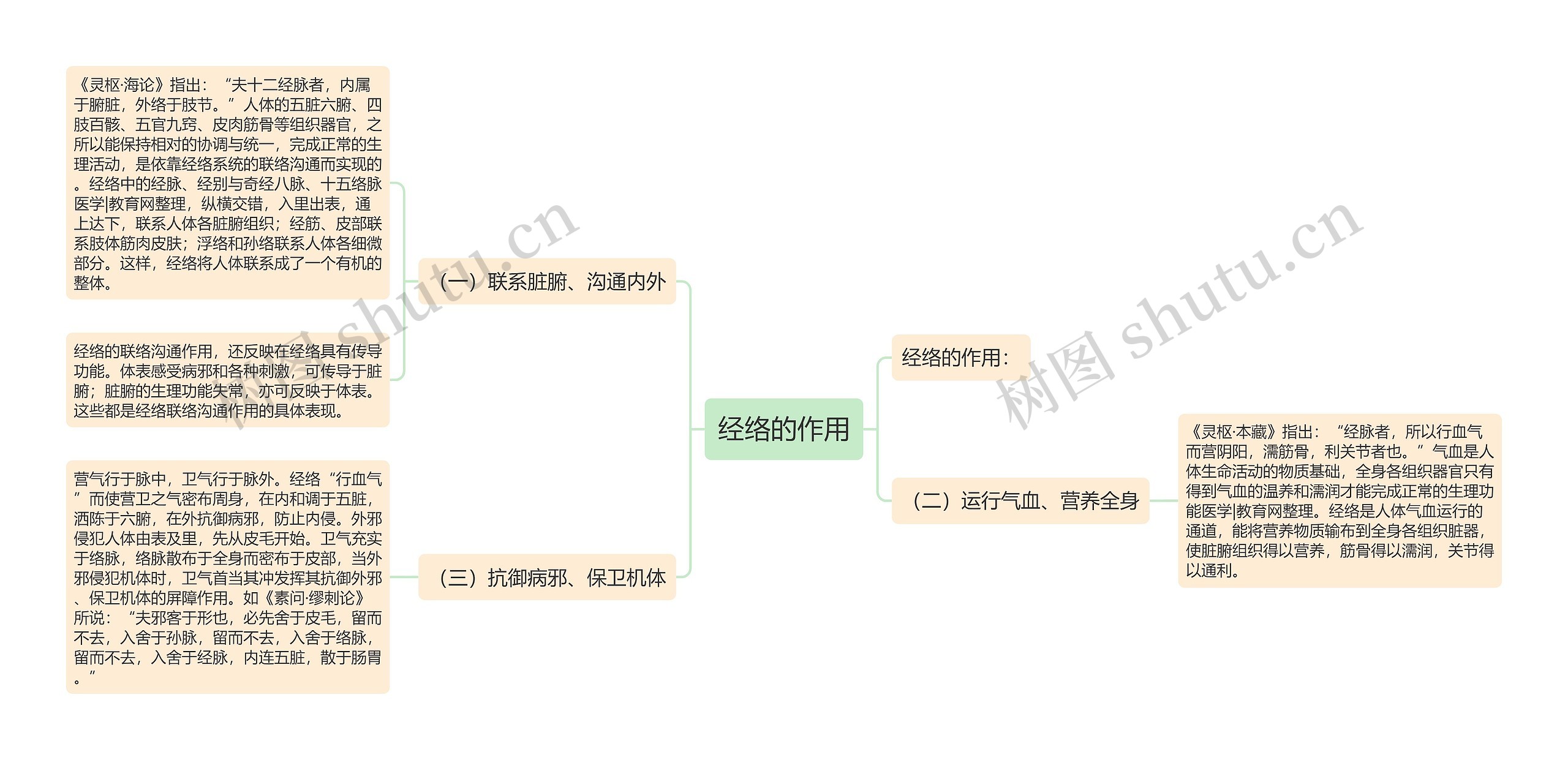 经络的作用思维导图