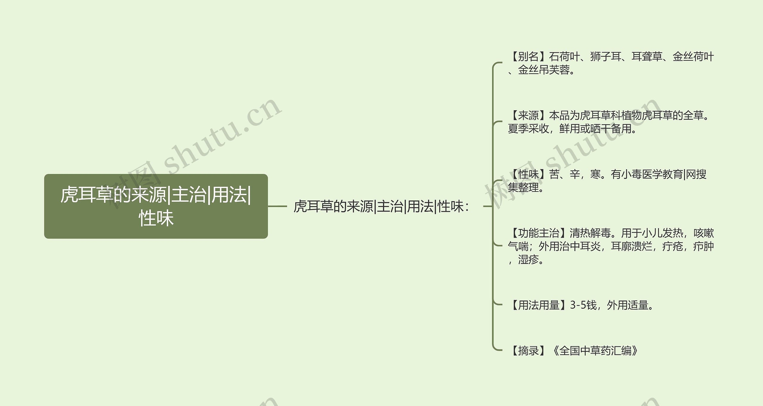 虎耳草的来源|主治|用法|性味