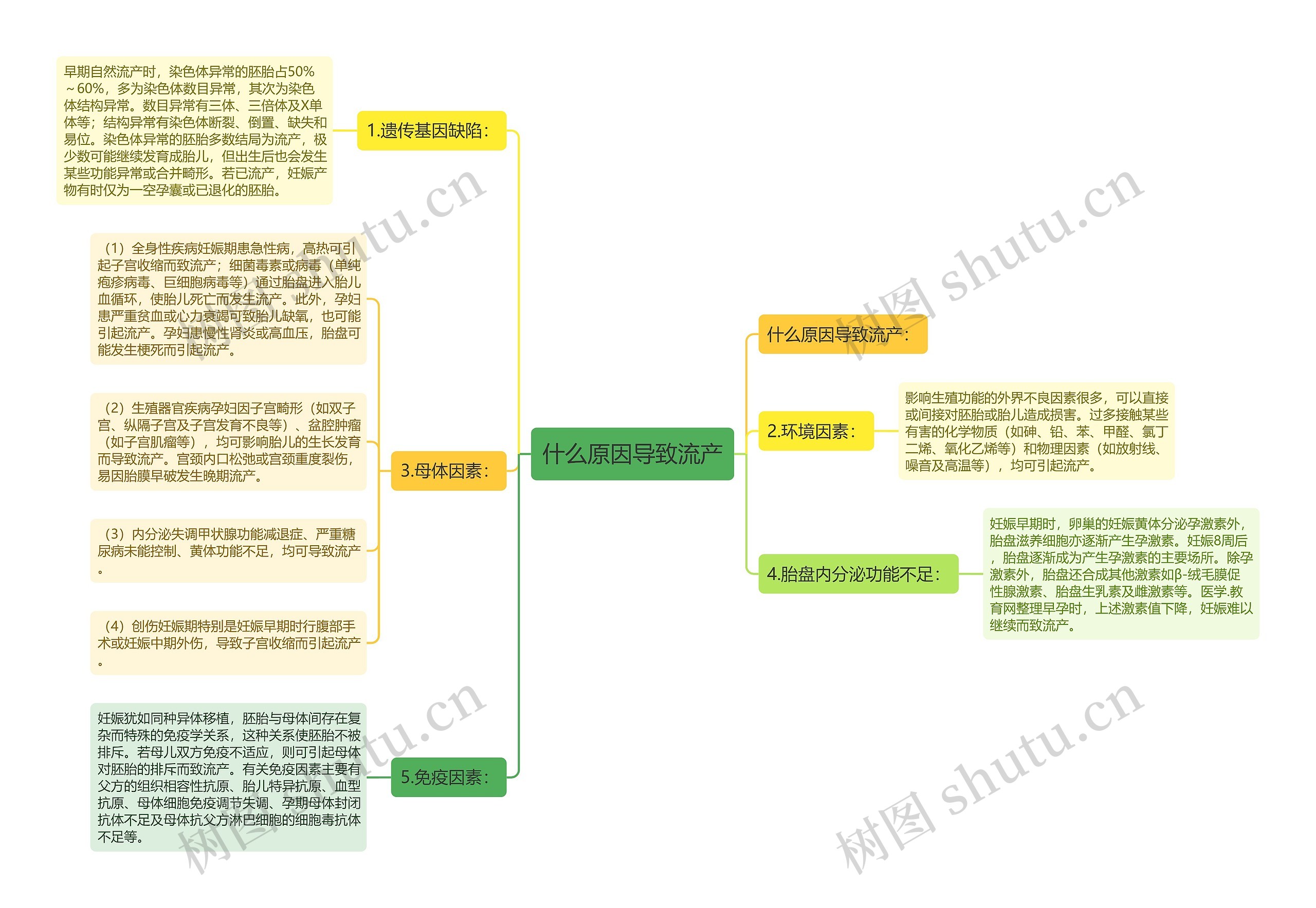 什么原因导致流产思维导图