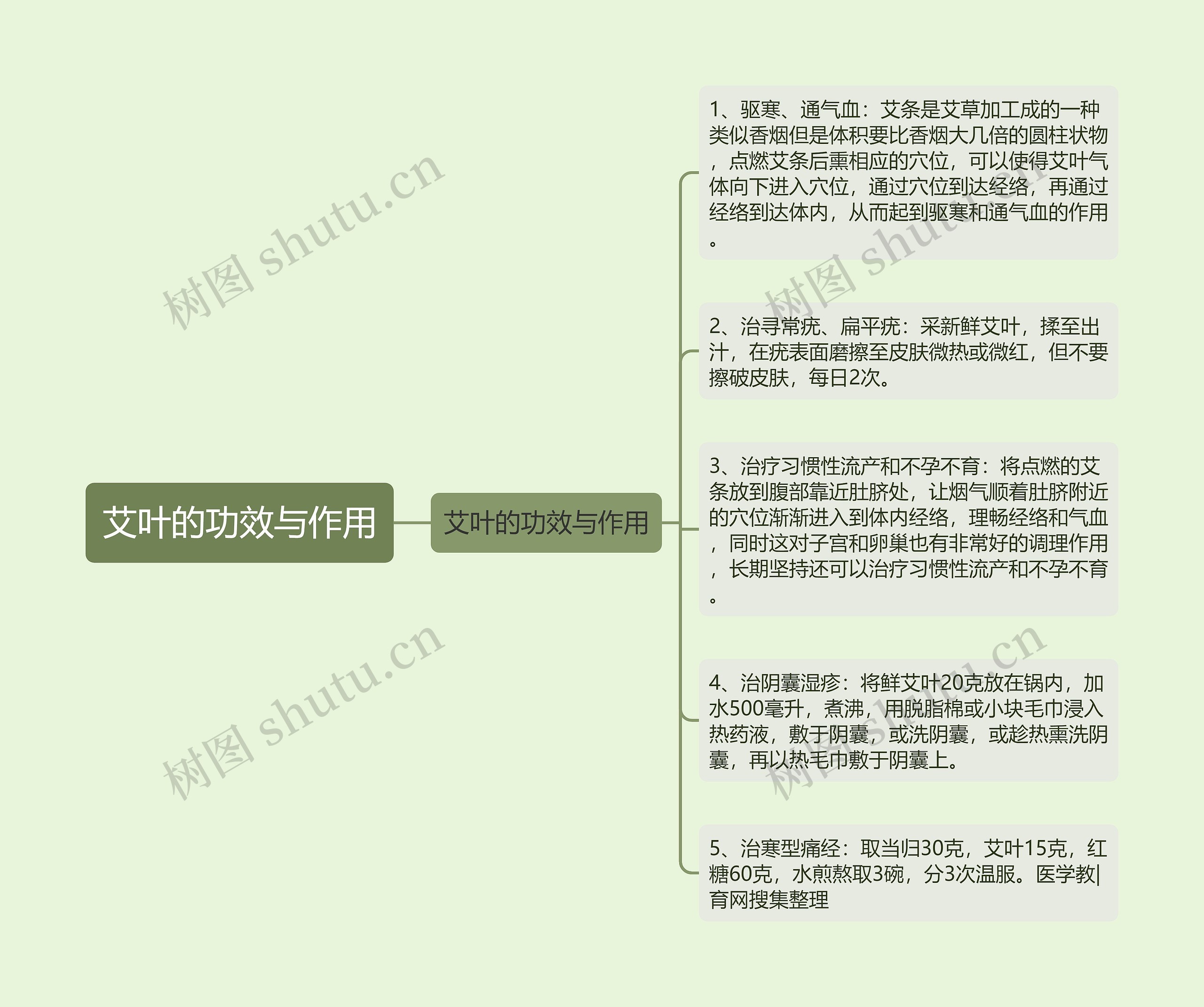 艾叶的功效与作用思维导图