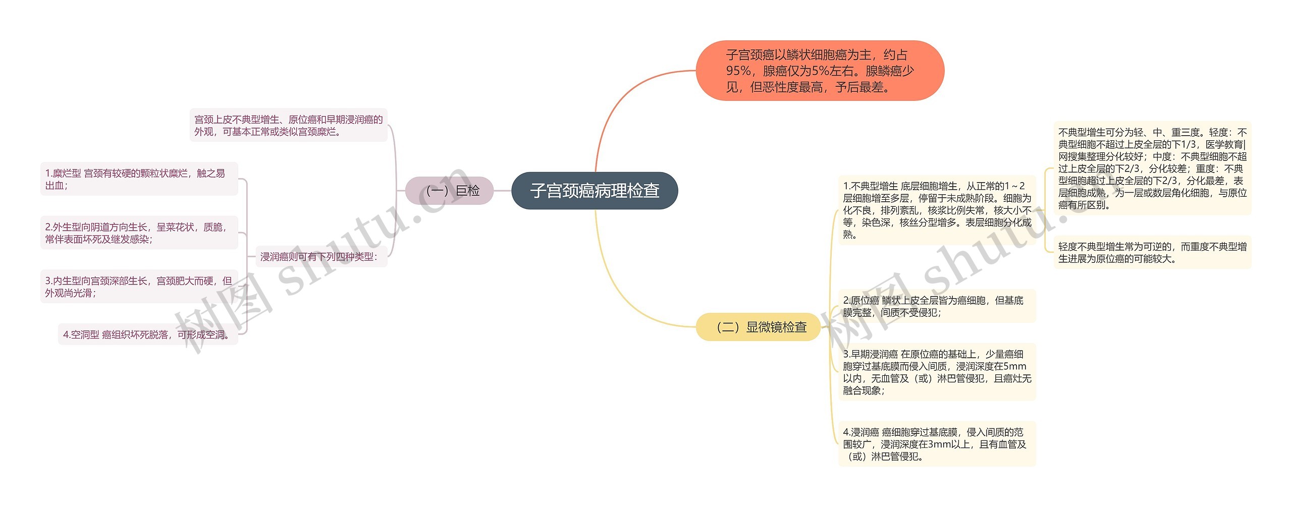 子宫颈癌病理检查思维导图