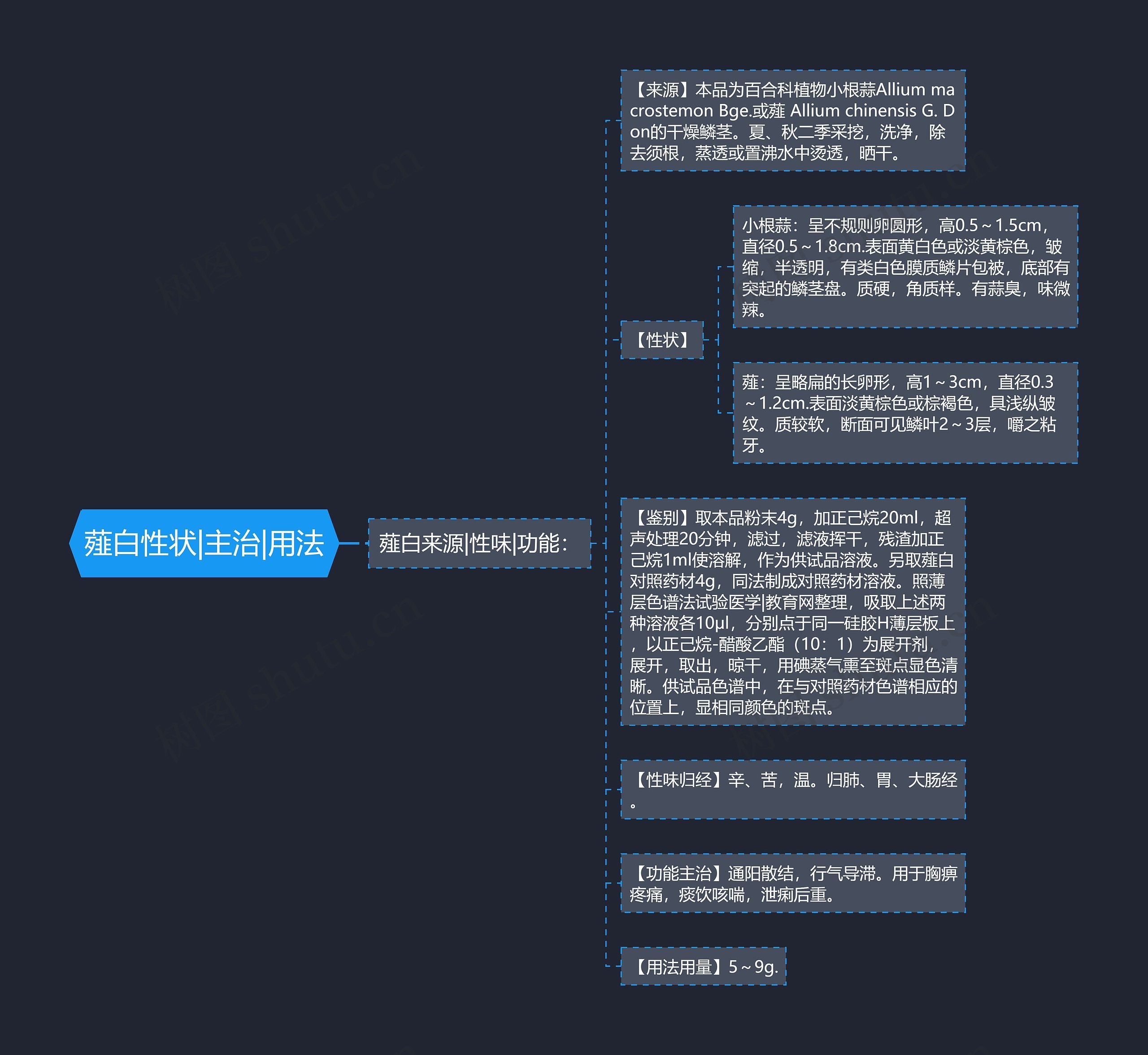 薤白性状|主治|用法思维导图