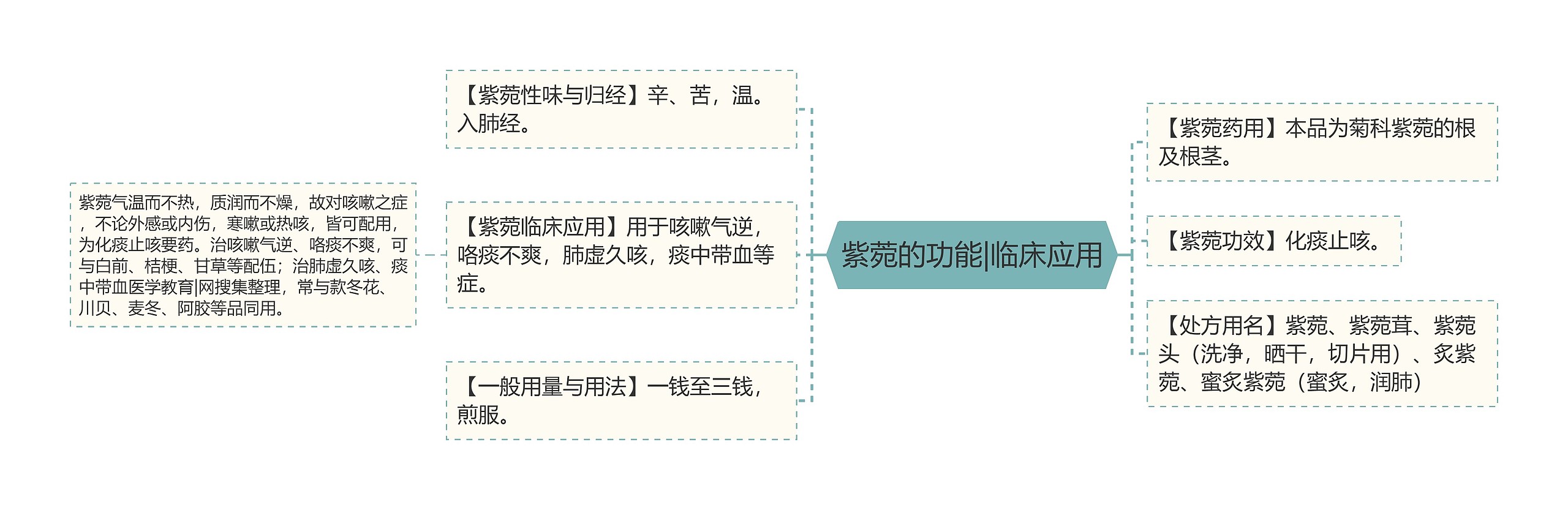 紫菀的功能|临床应用 紫菀的功能|临床应用