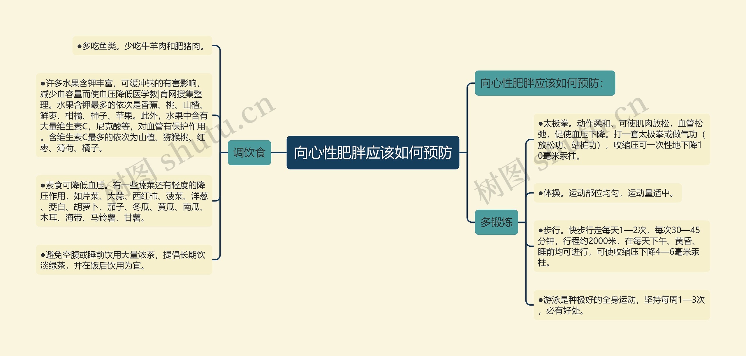 向心性肥胖应该如何预防思维导图