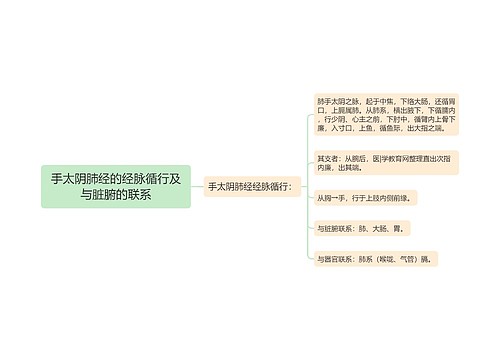 手太阴肺经的经脉循行及与脏腑的联系