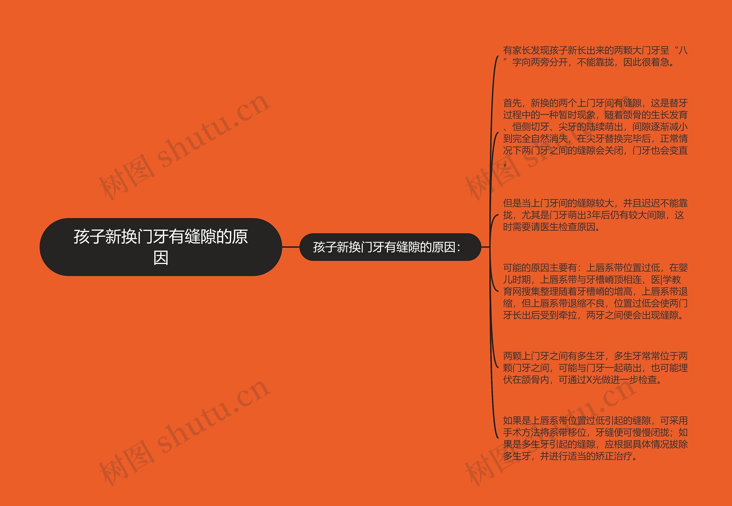 孩子新换门牙有缝隙的原因思维导图