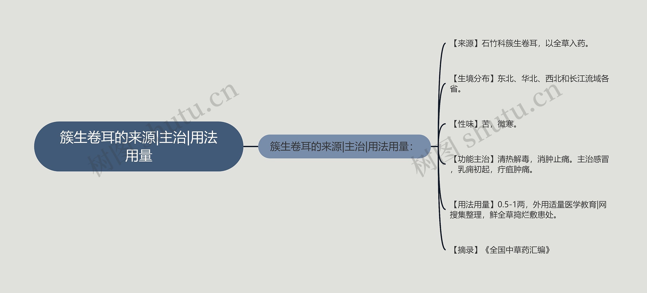 簇生卷耳的来源|主治|用法用量思维导图