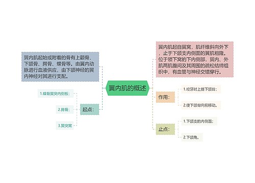 翼内肌的概述