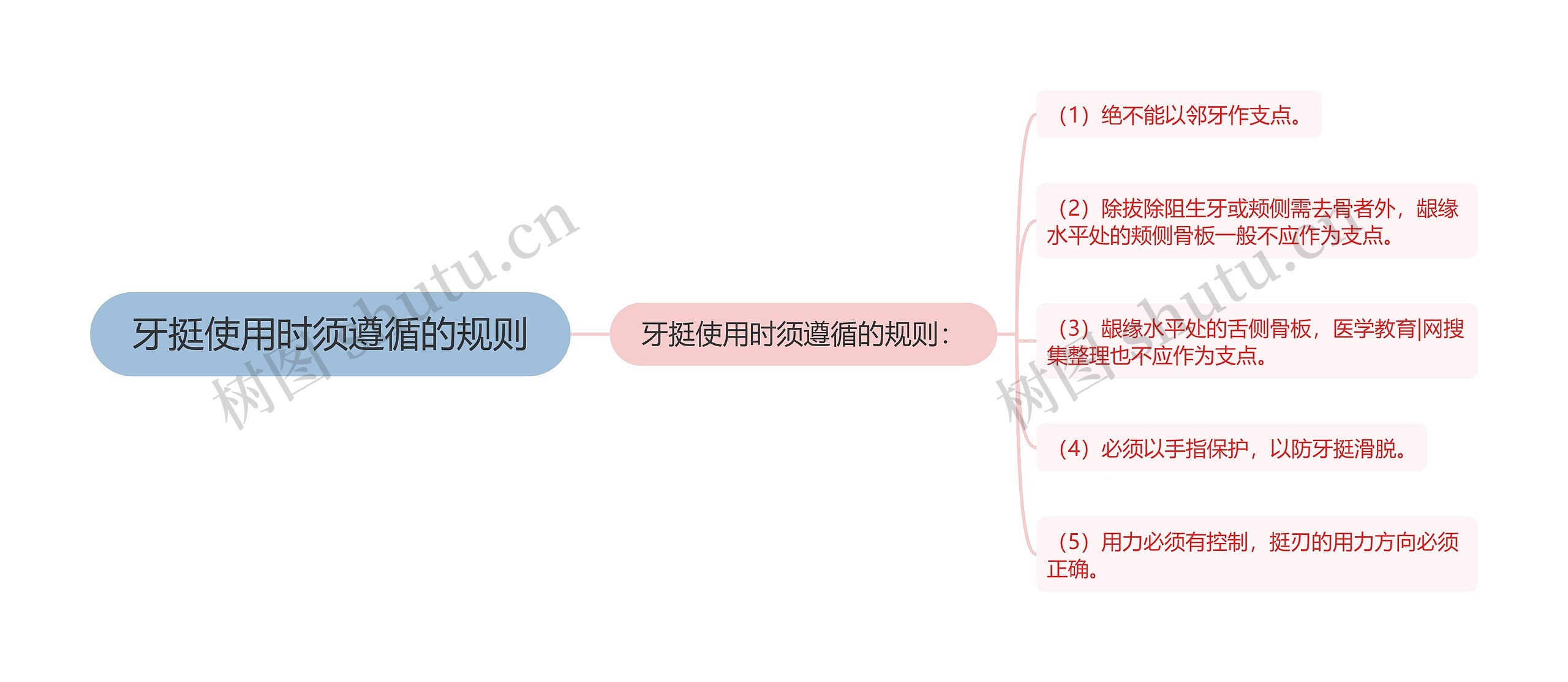 牙挺使用时须遵循的规则 牙挺使用时须遵循的规则
