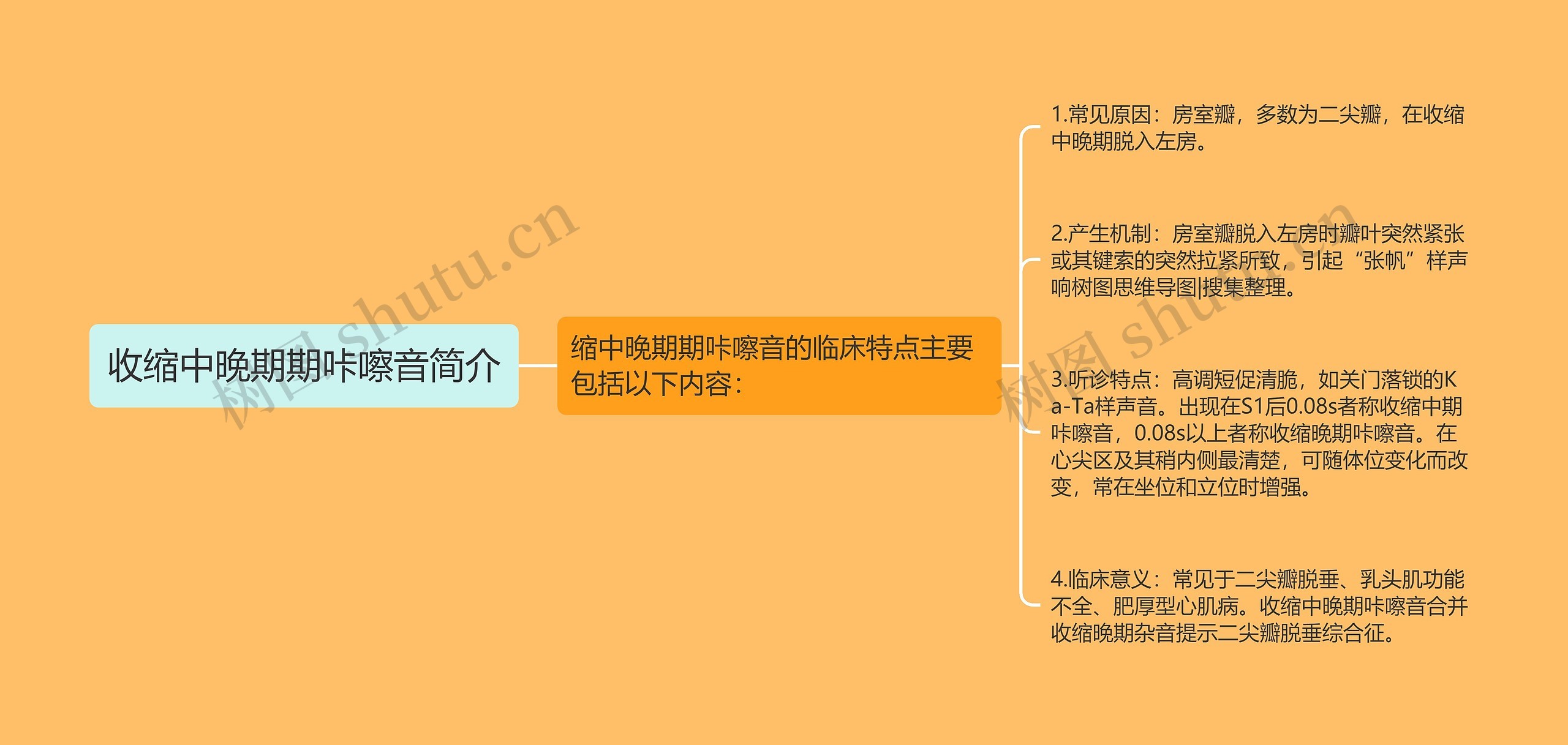 收缩中晚期期咔嚓音简介 收缩中晚期期咔嚓音简介