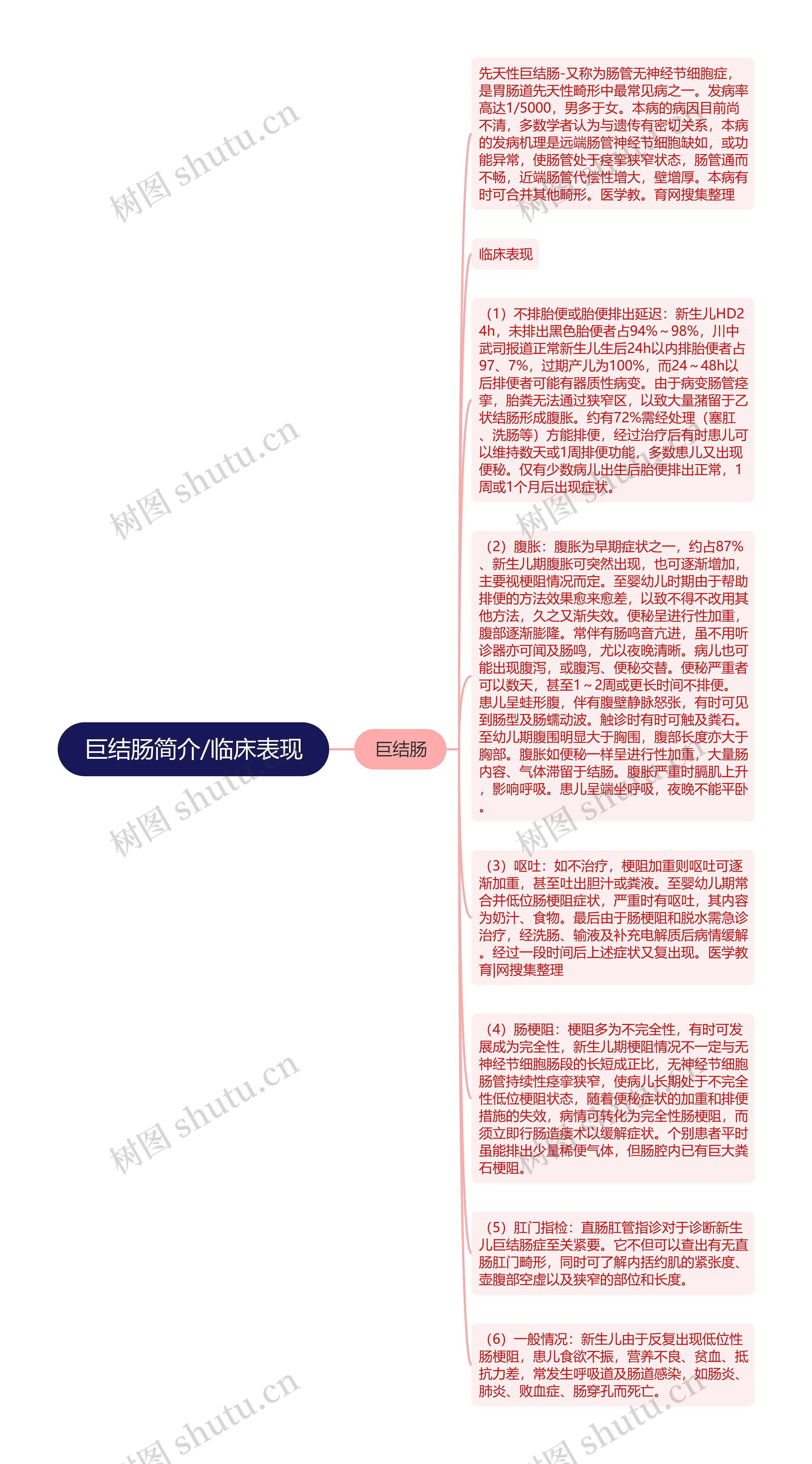 巨结肠简介/临床表现思维导图